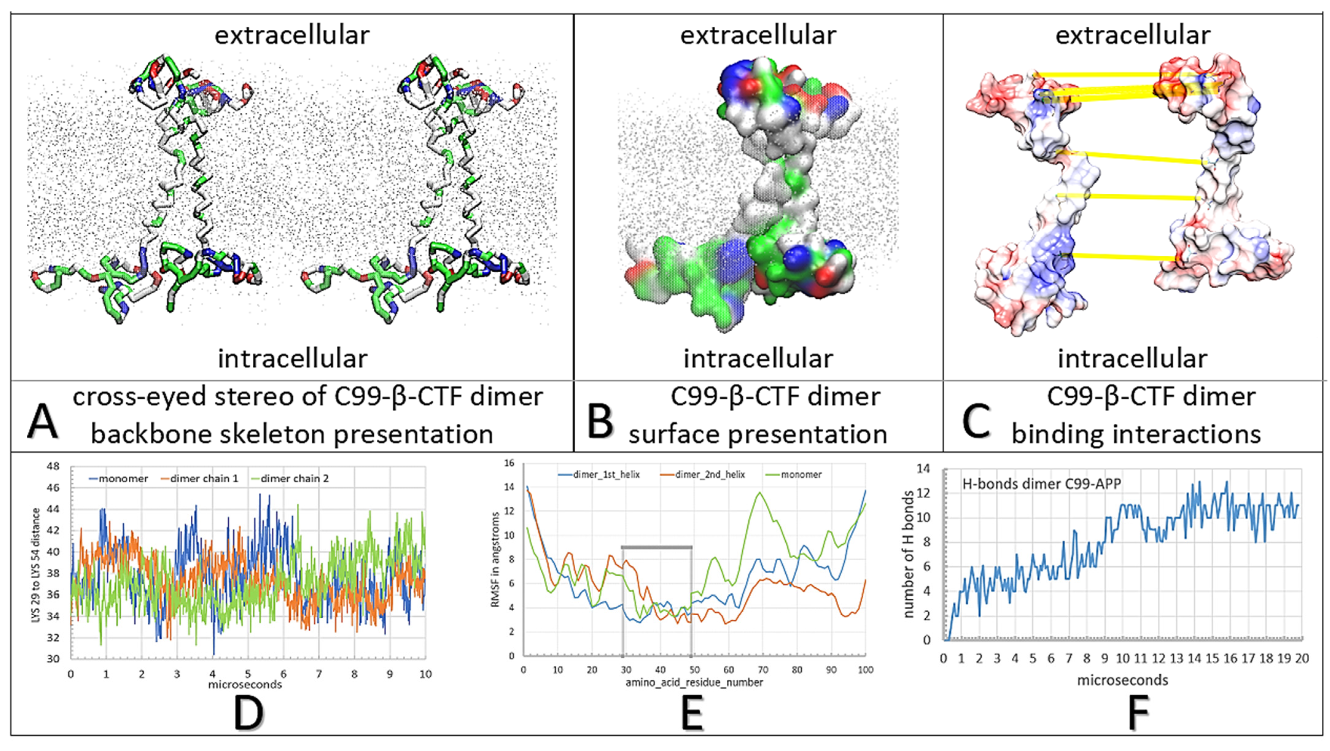 Ijms 24 01835 g002 Ijms 24 01835 g002
