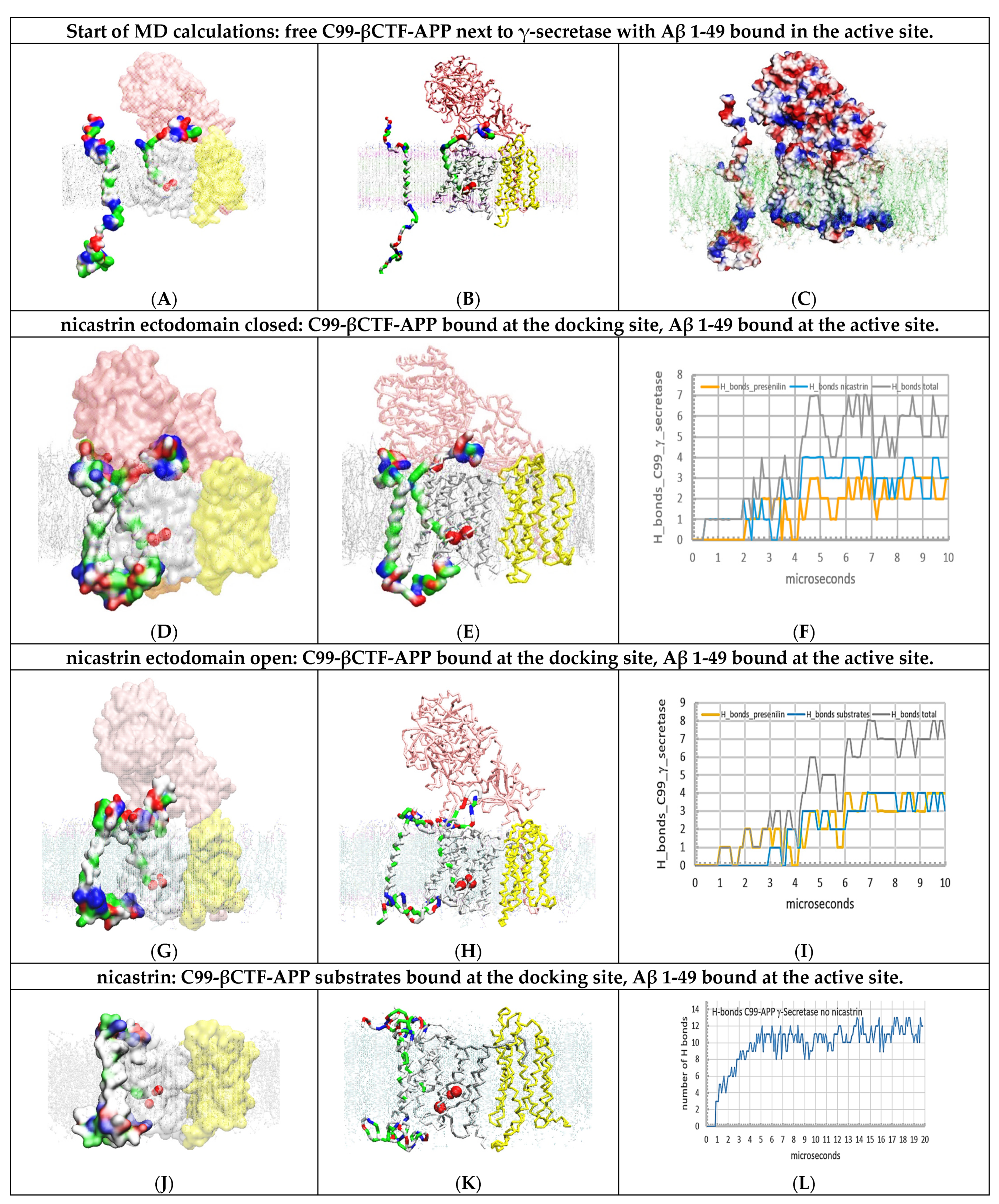 Ijms 24 01835 g003 Ijms 24 01835 g003