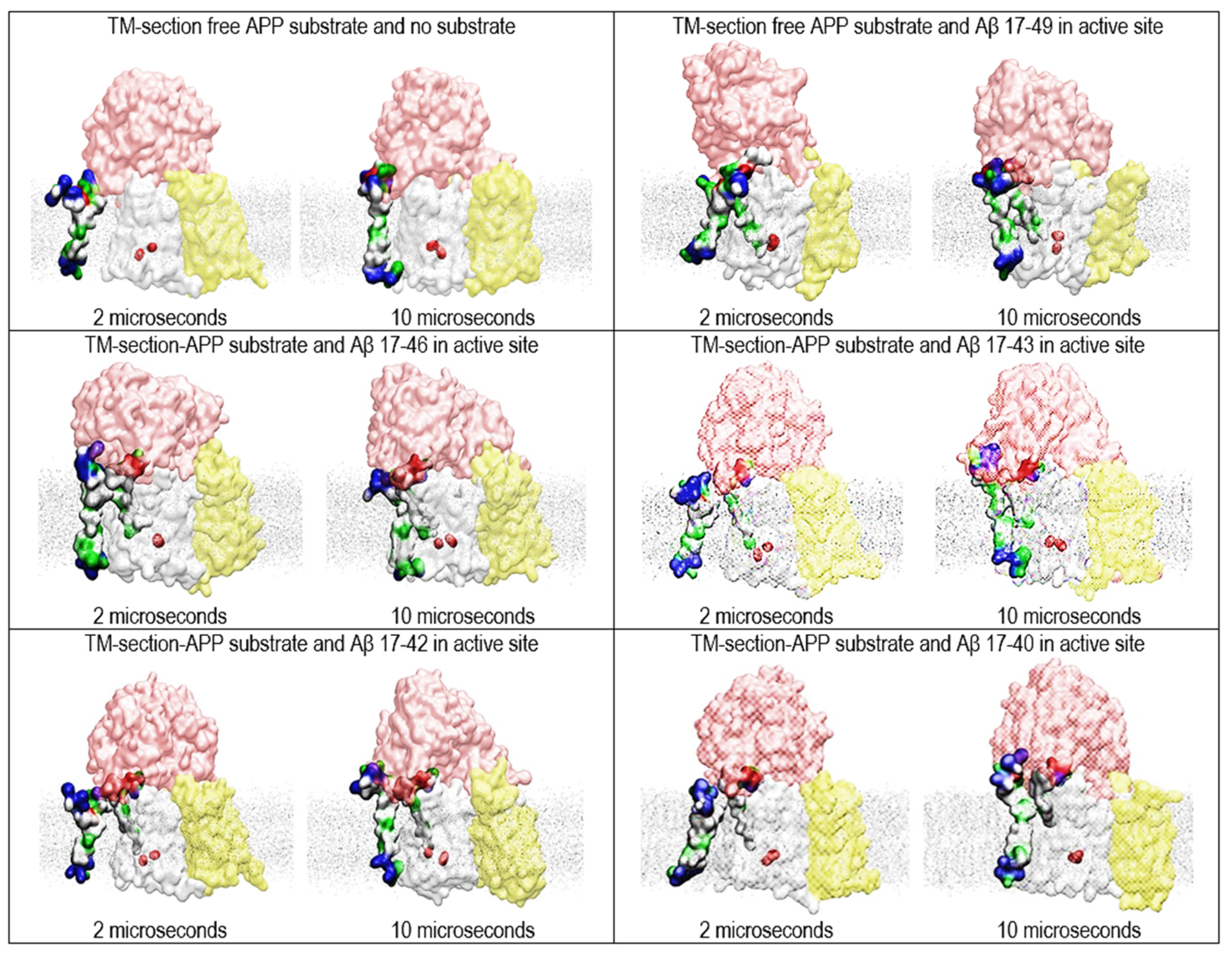 Ijms 24 01835 g005 Ijms 24 01835 g005