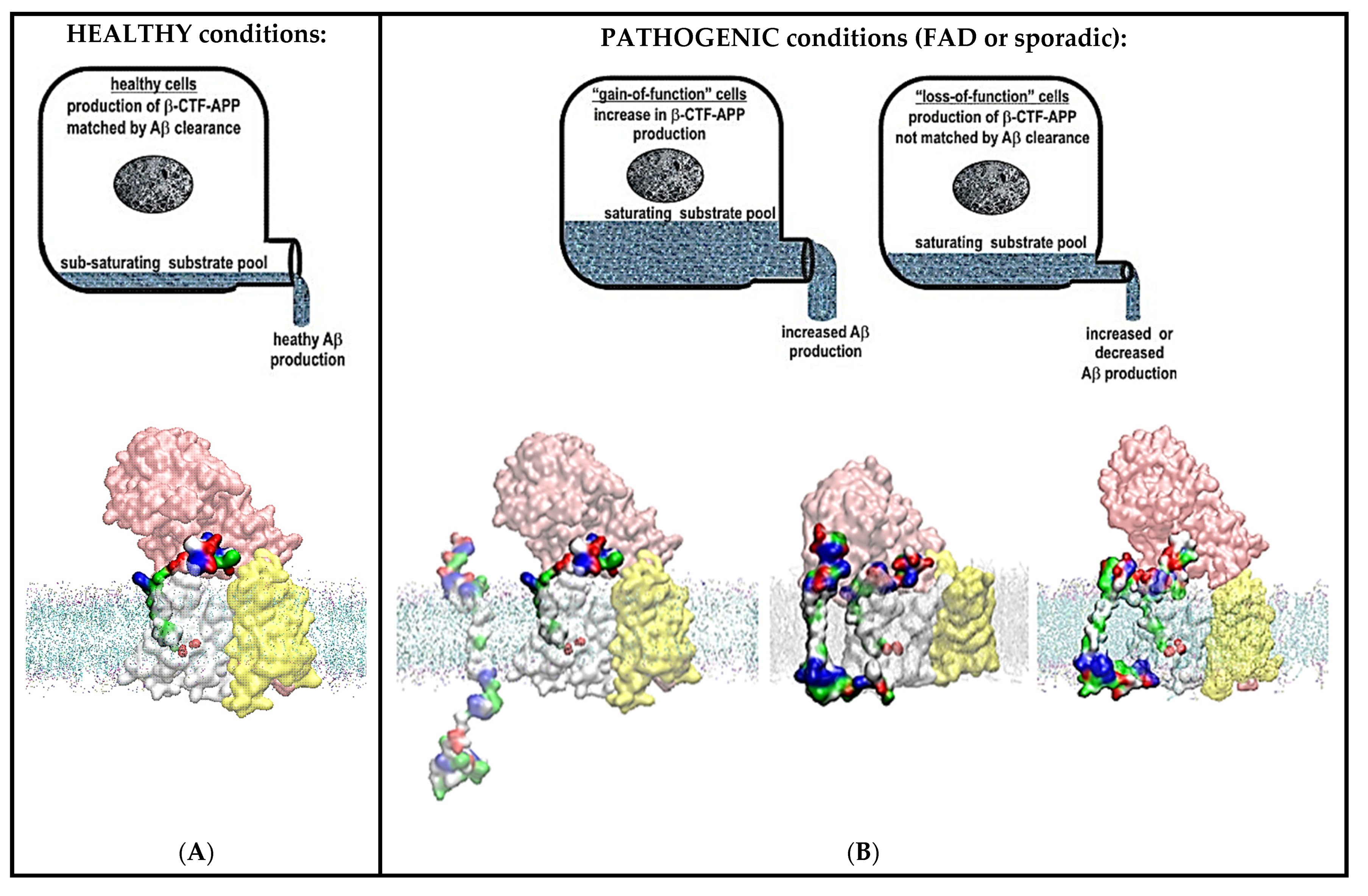Ijms 24 01835 g009 Ijms 24 01835 g009