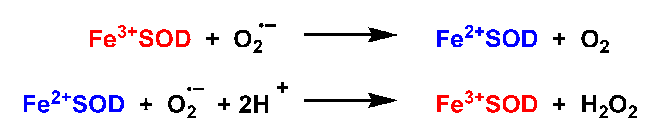 Ijms 24 01841 g037 Ijms 24 01841 g037