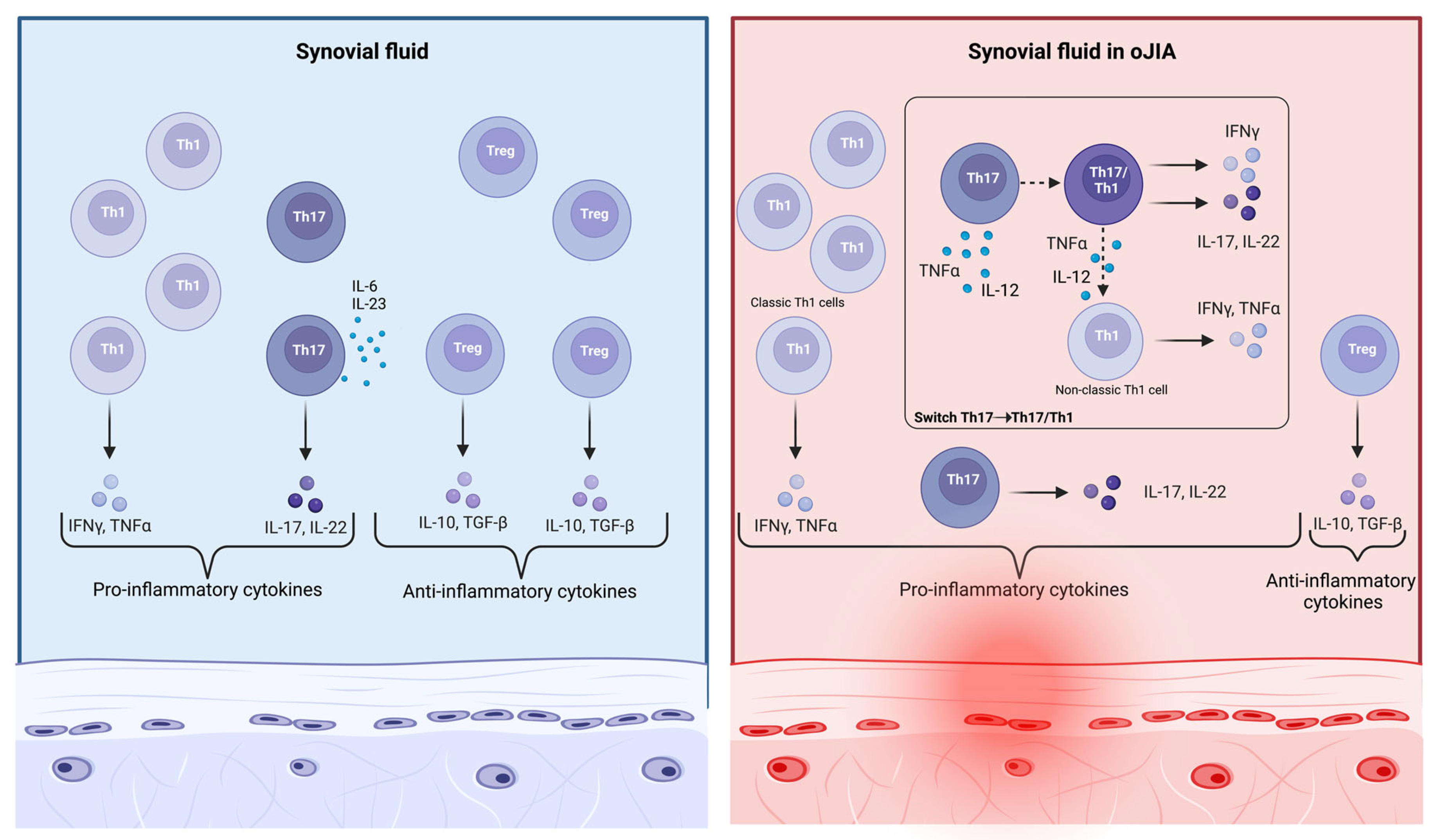 Ijms 24 01846 g003 Ijms 24 01846 g003