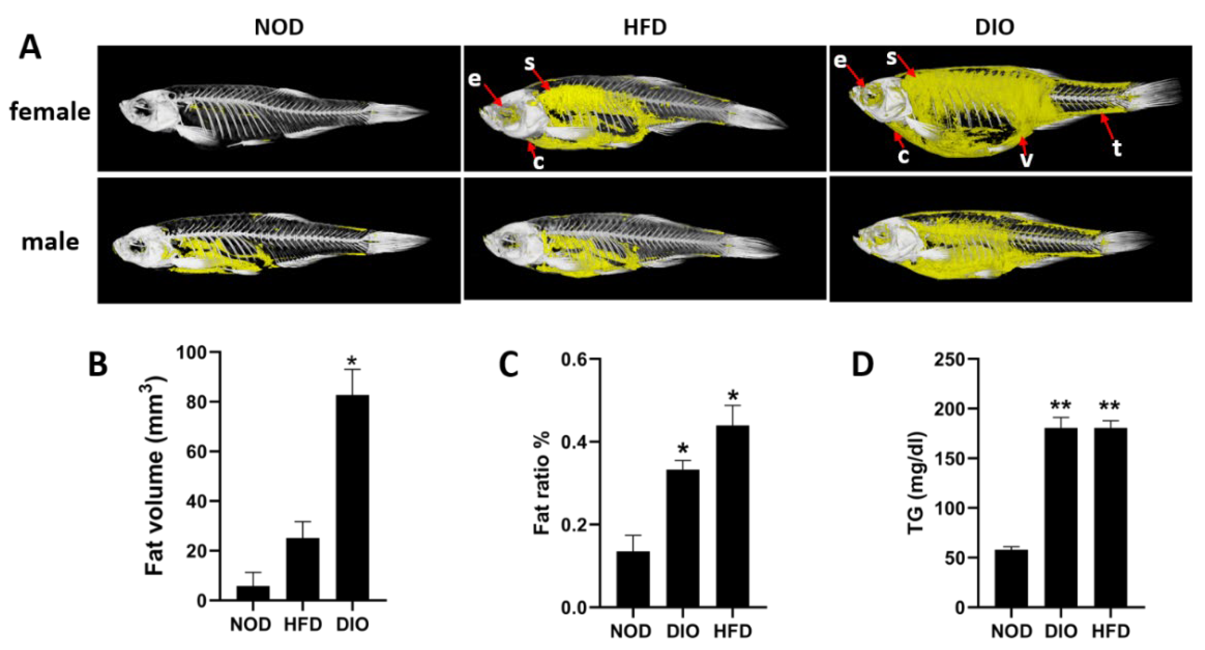 Ijms 24 01850 g002 Ijms 24 01850 g002