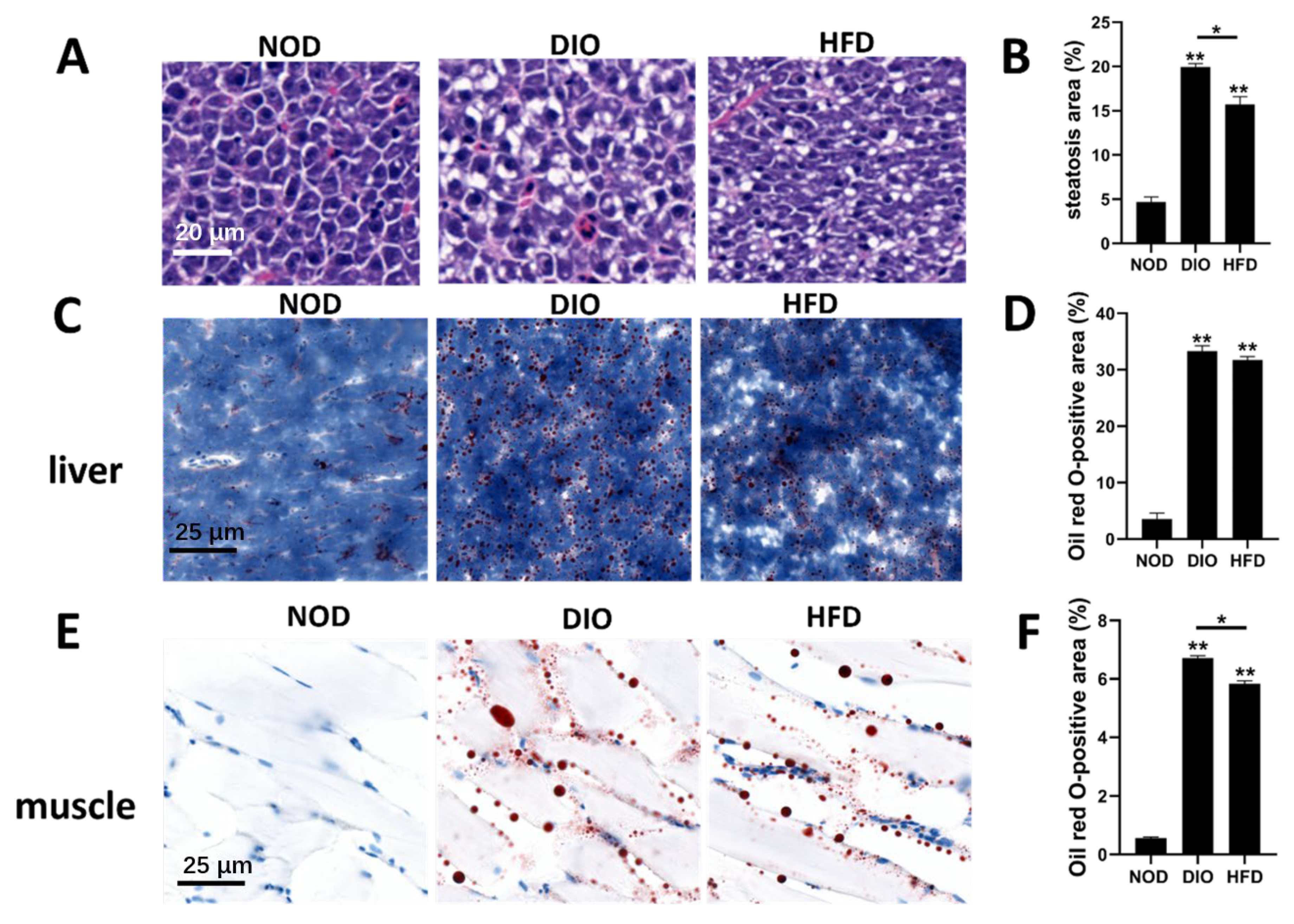 Ijms 24 01850 g003 Ijms 24 01850 g003