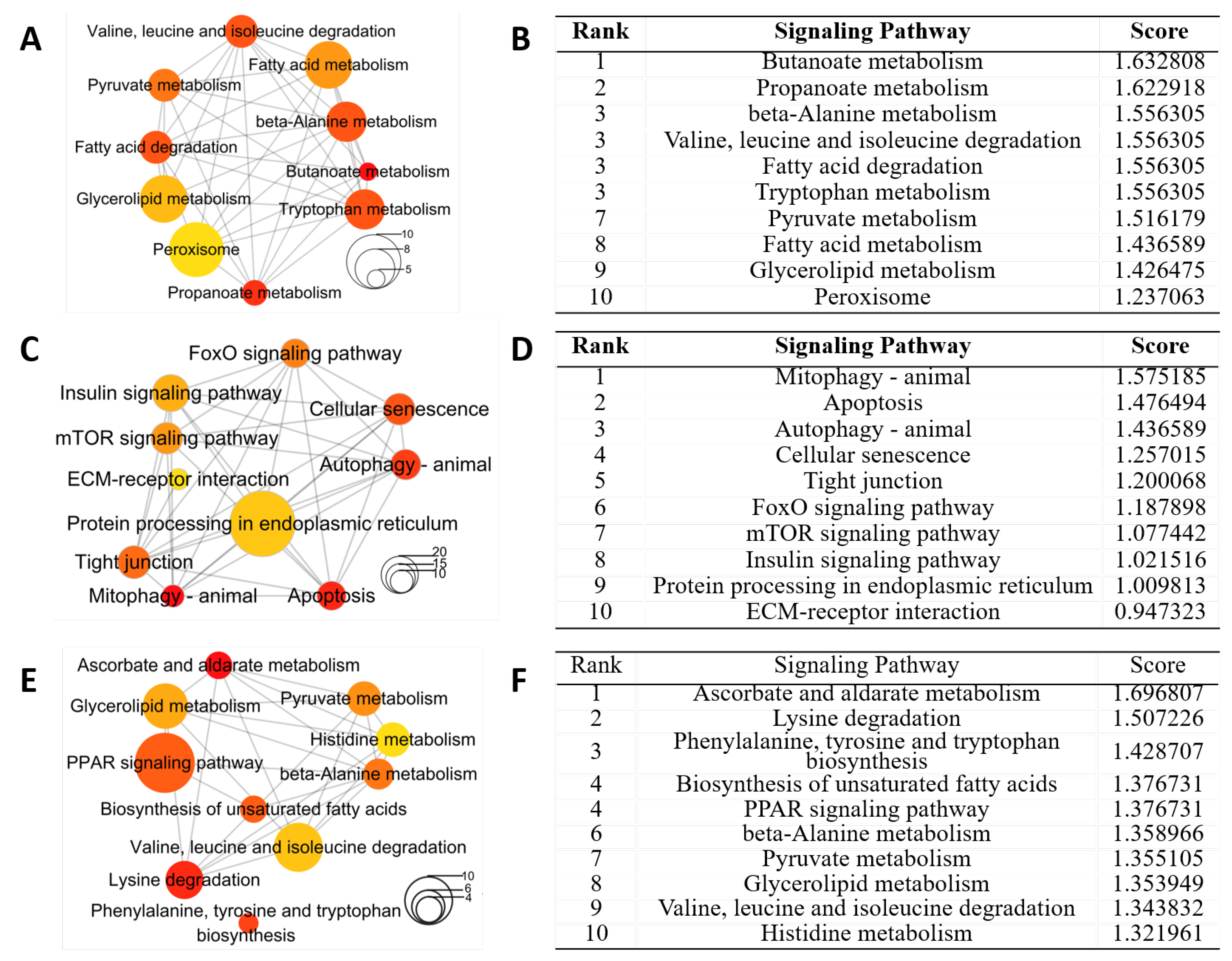 Ijms 24 01850 g006 Ijms 24 01850 g006