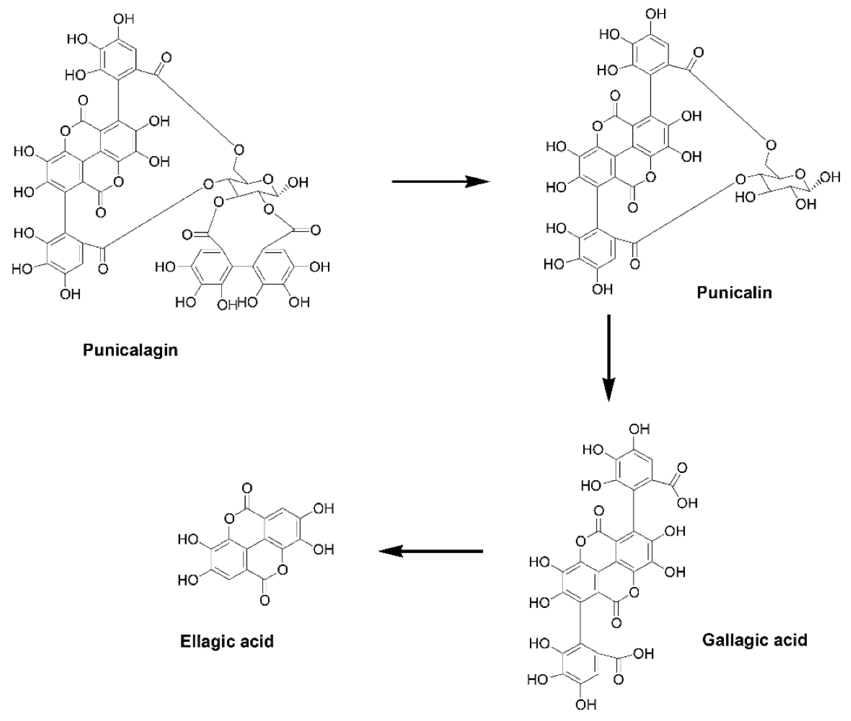 Ijms 24 01856 g002 Ijms 24 01856 g002