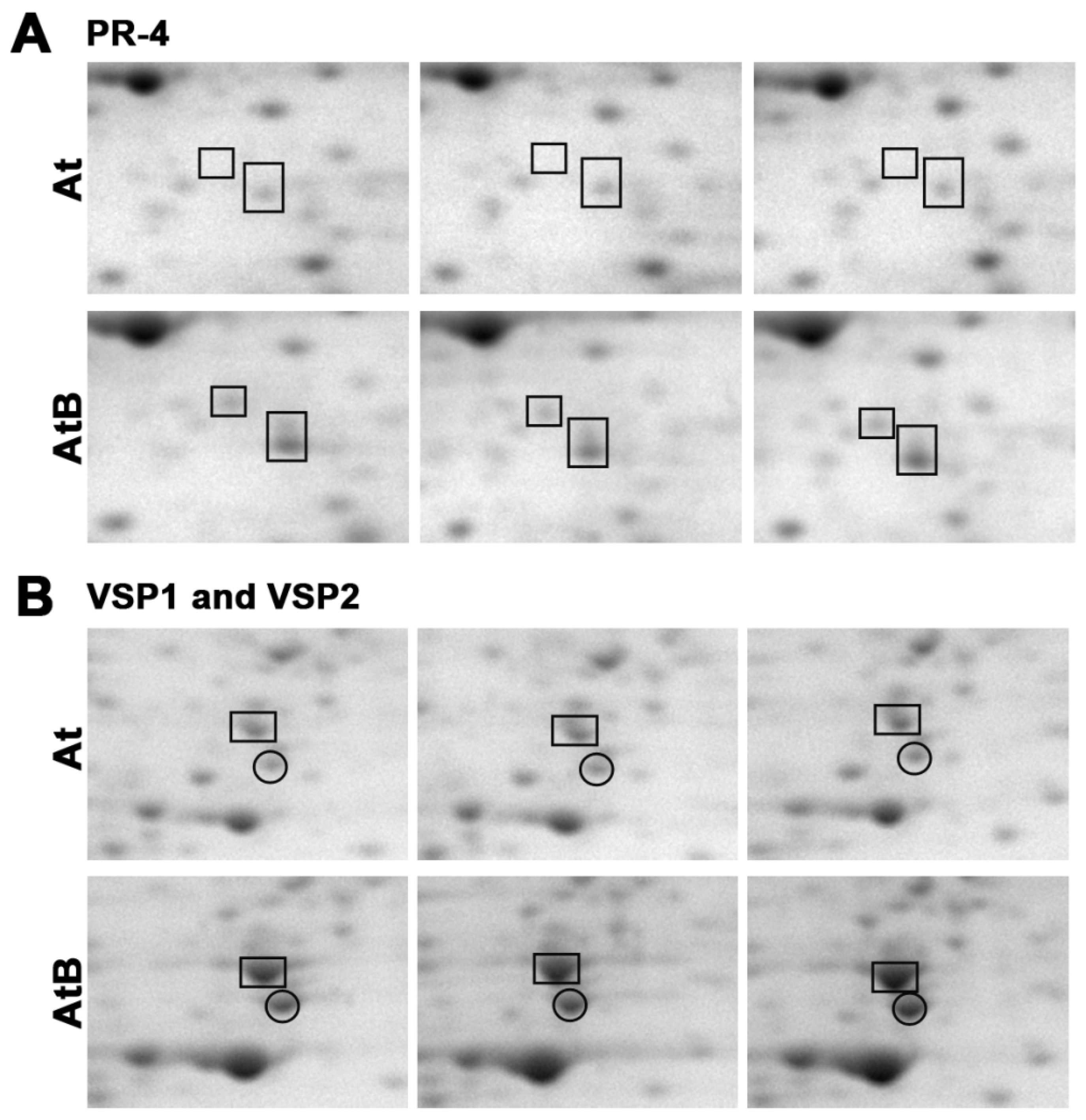 Ijms 24 01880 g001 Ijms 24 01880 g001