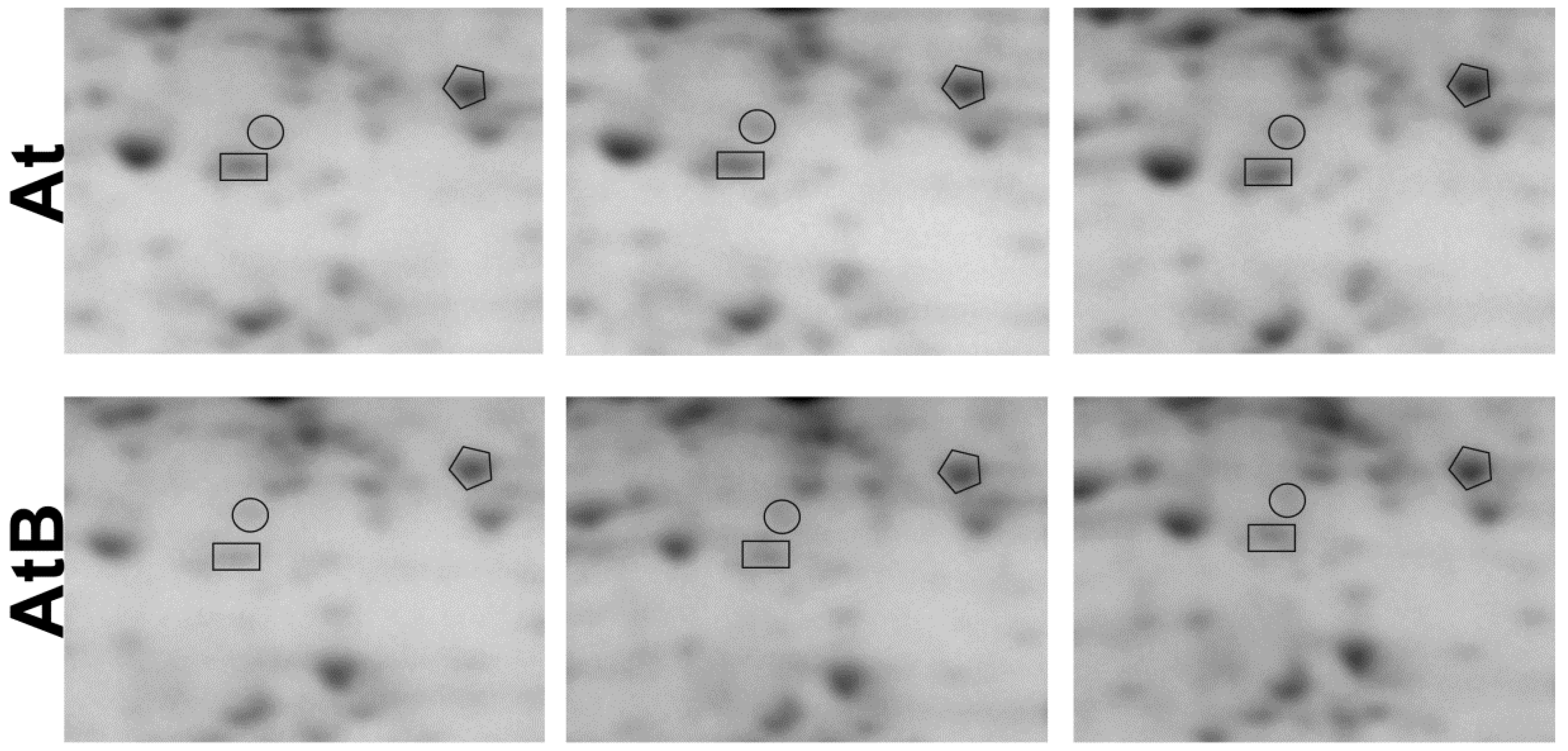 Ijms 24 01880 g002 Ijms 24 01880 g002