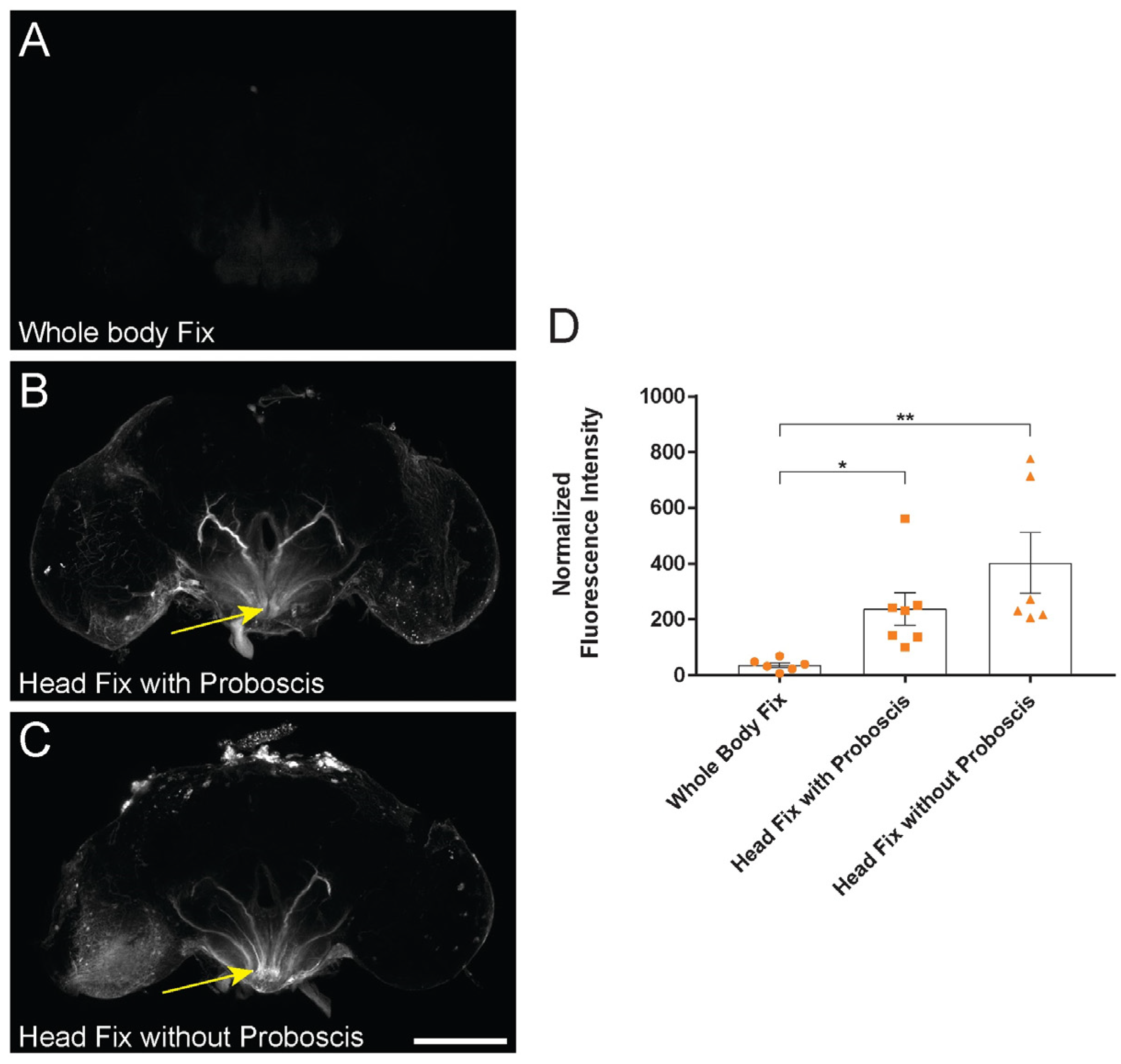 Ijms 24 01886 g002 Ijms 24 01886 g002