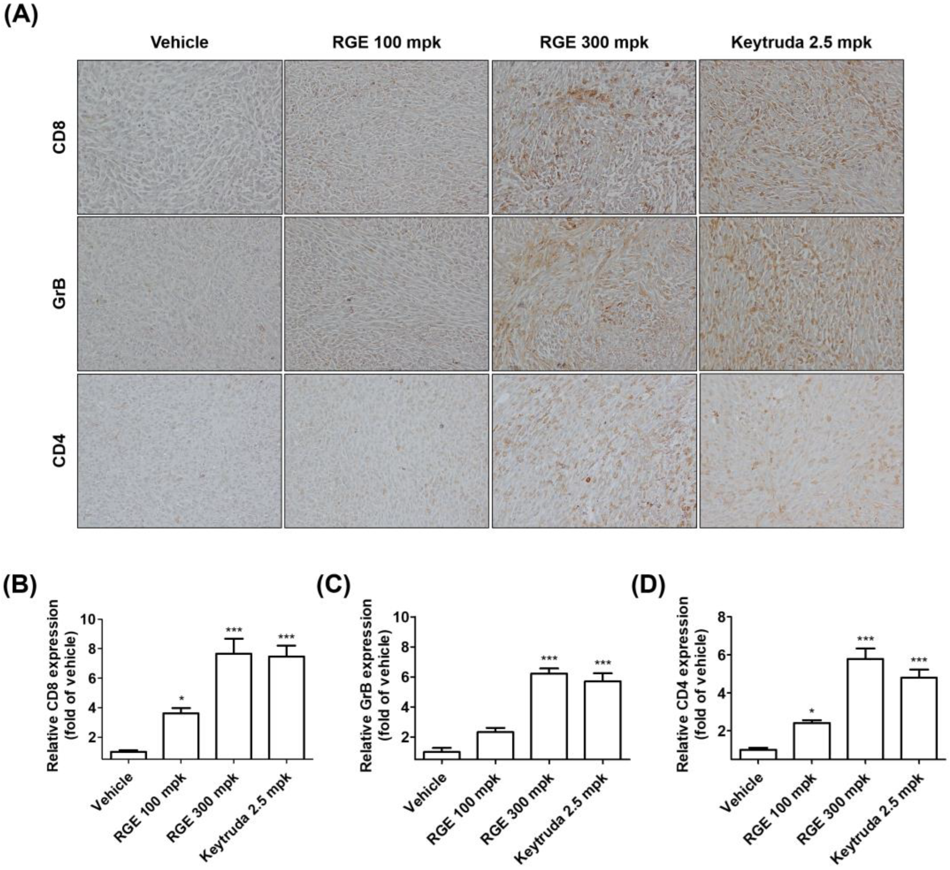 Ijms 24 01894 g004 Ijms 24 01894 g004