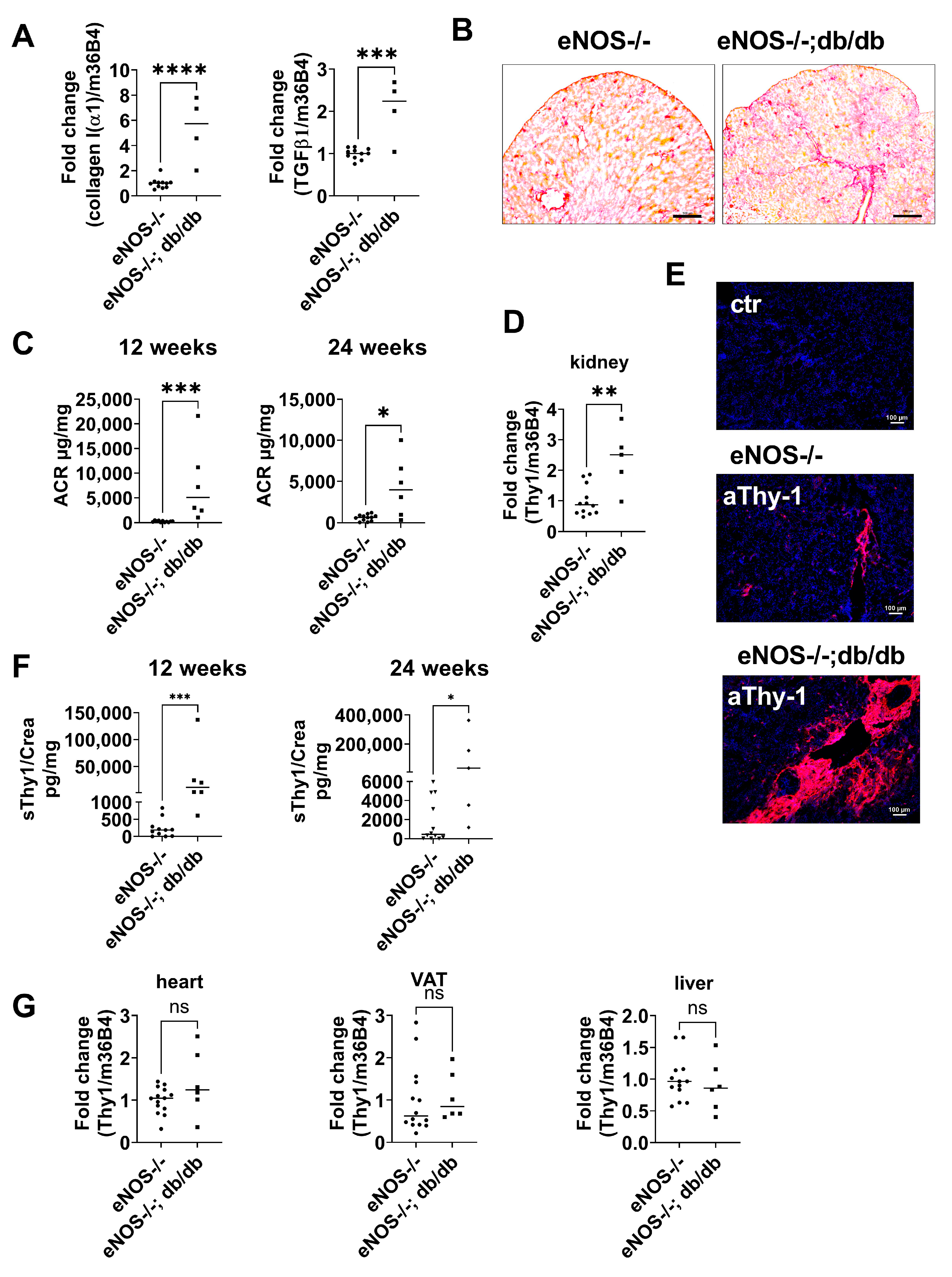 Ijms 24 01896 g002 Ijms 24 01896 g002