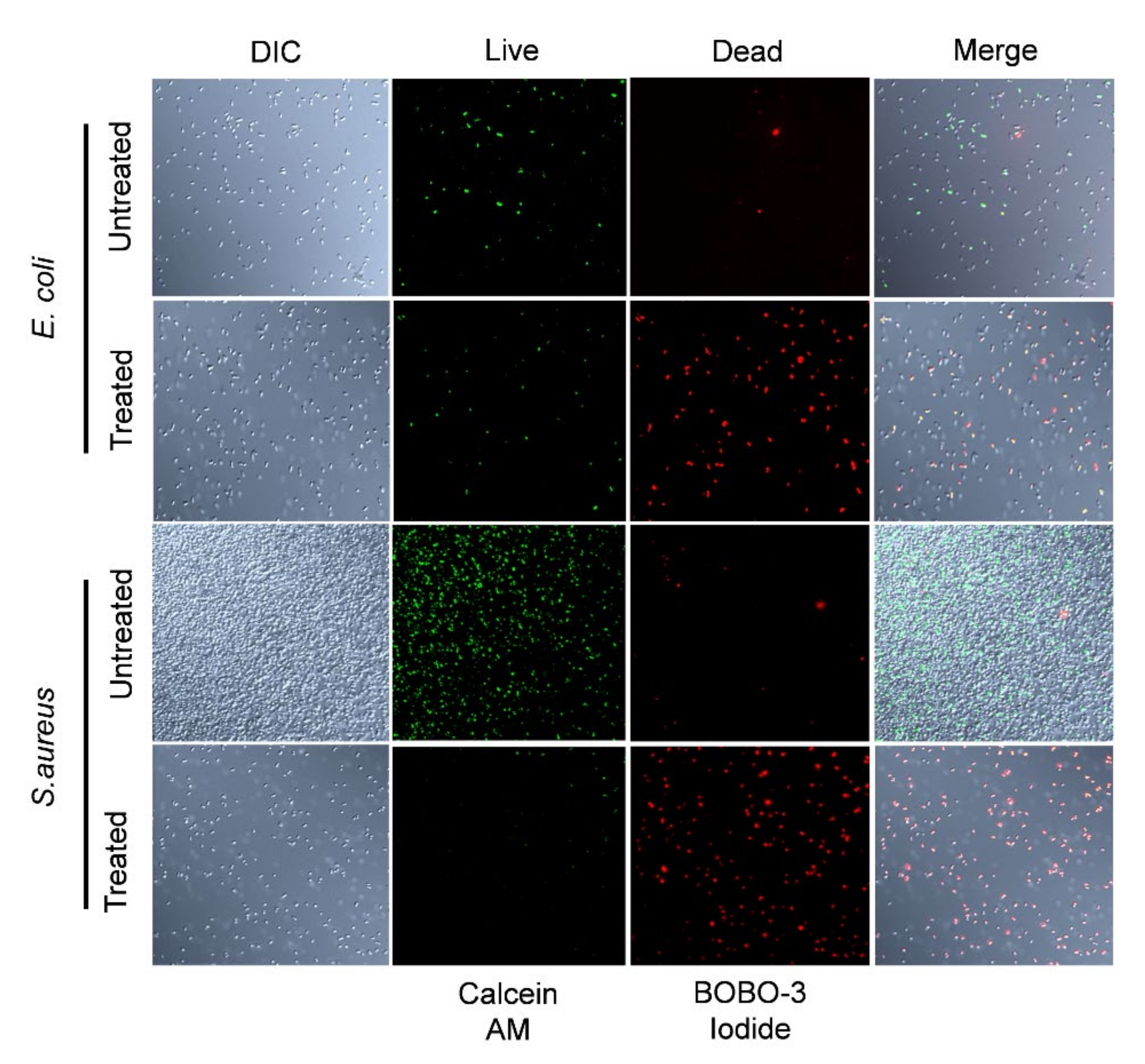 Ijms 24 01901 g005 Ijms 24 01901 g005