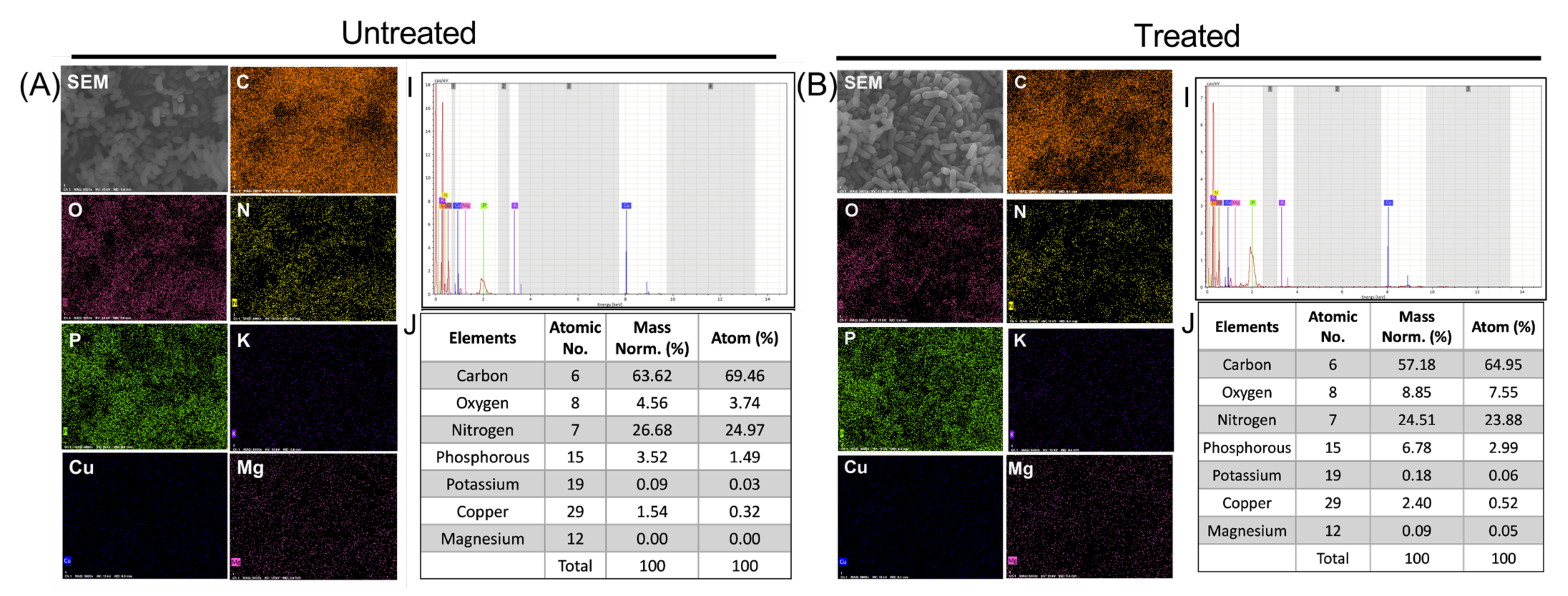 Ijms 24 01901 g008 Ijms 24 01901 g008