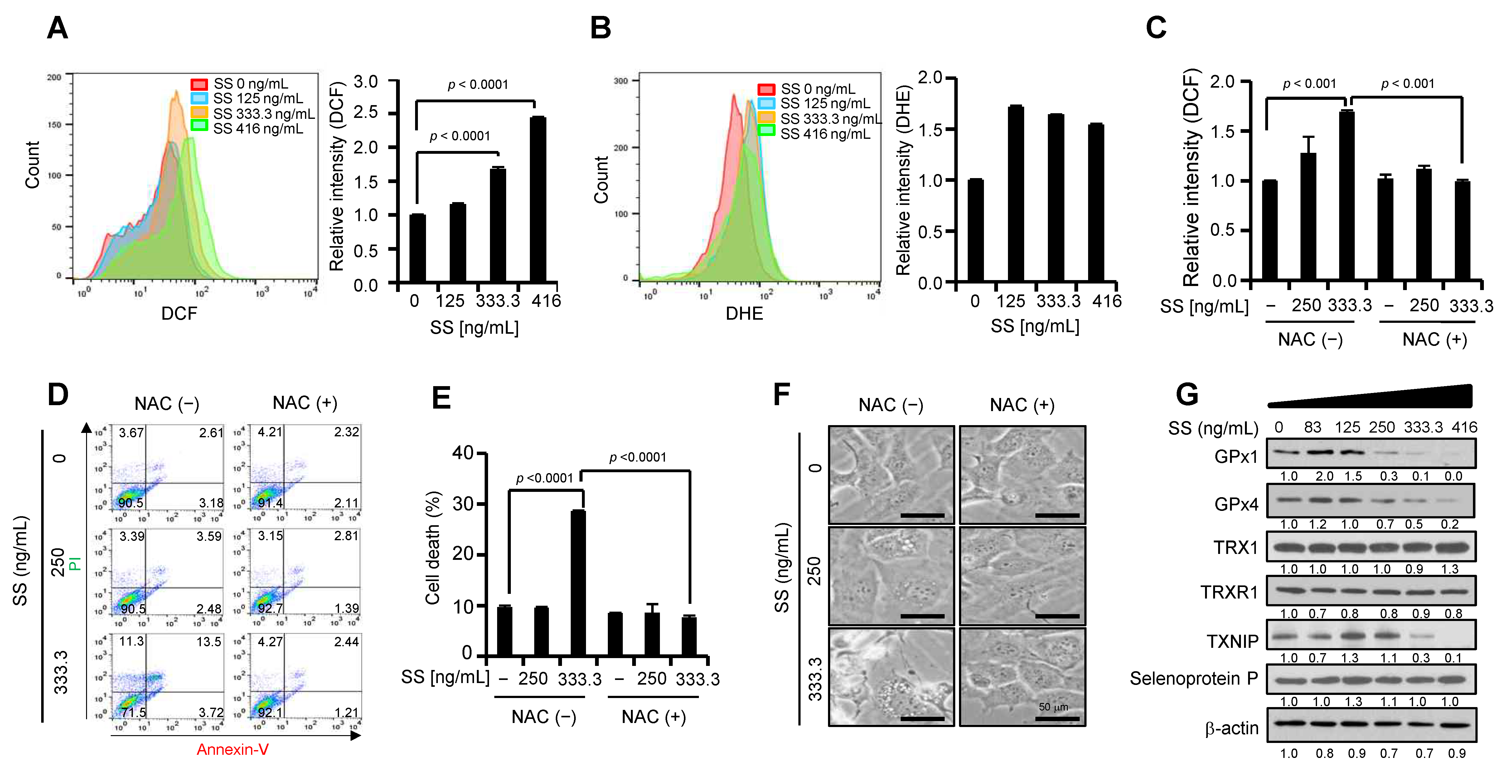 Ijms 24 01918 g002 Ijms 24 01918 g002