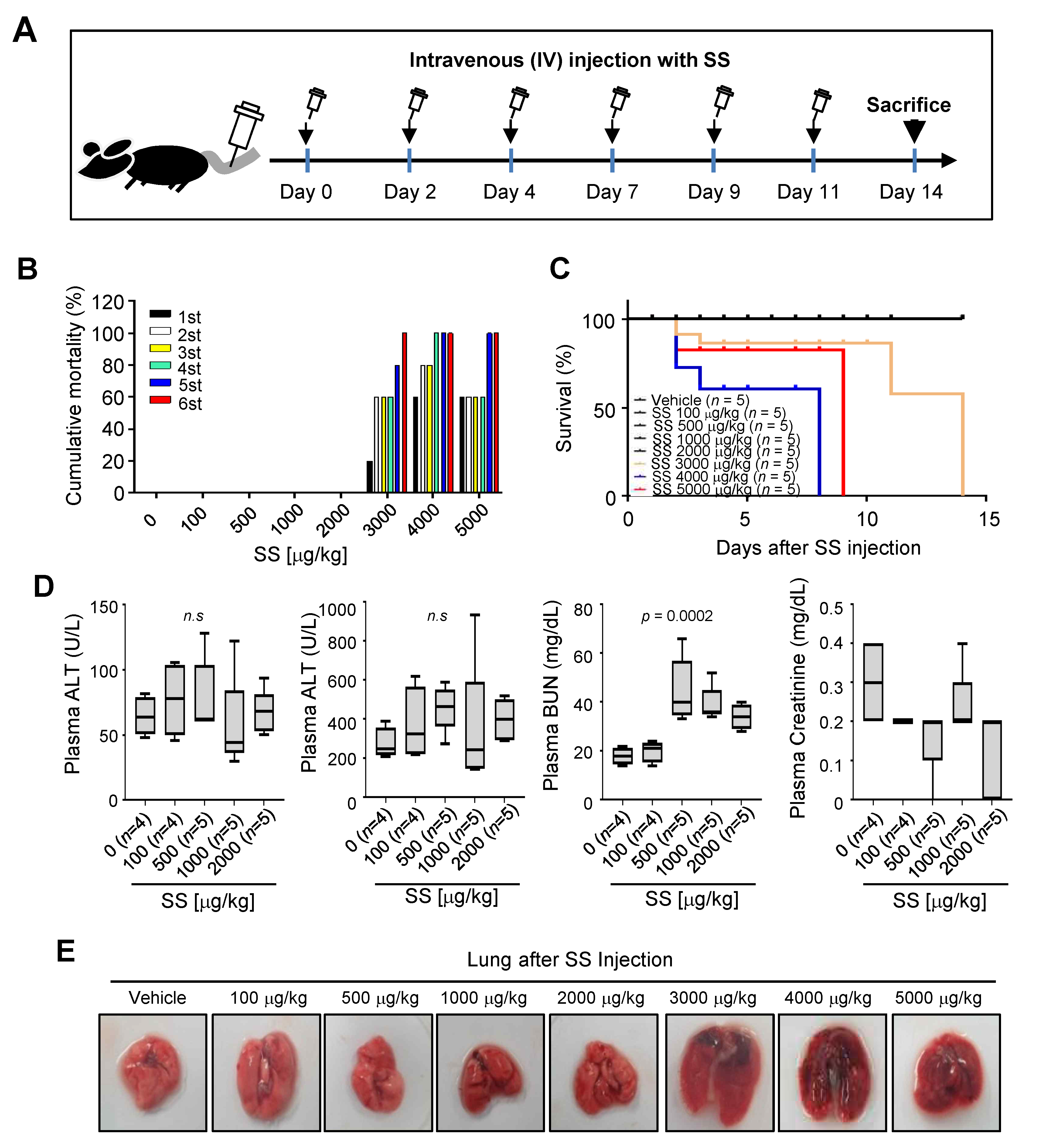 Ijms 24 01918 g004 Ijms 24 01918 g004
