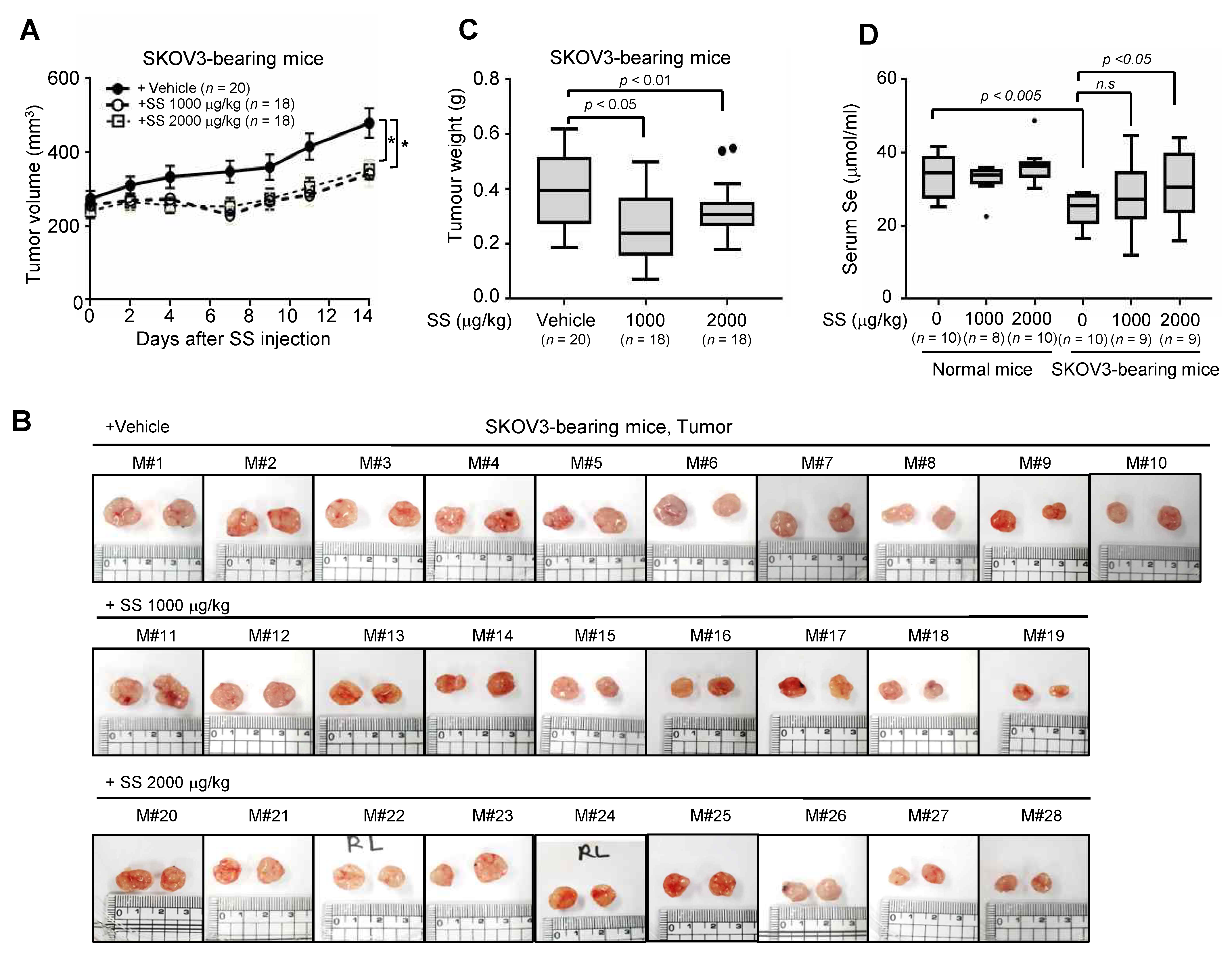 Ijms 24 01918 g005 Ijms 24 01918 g005