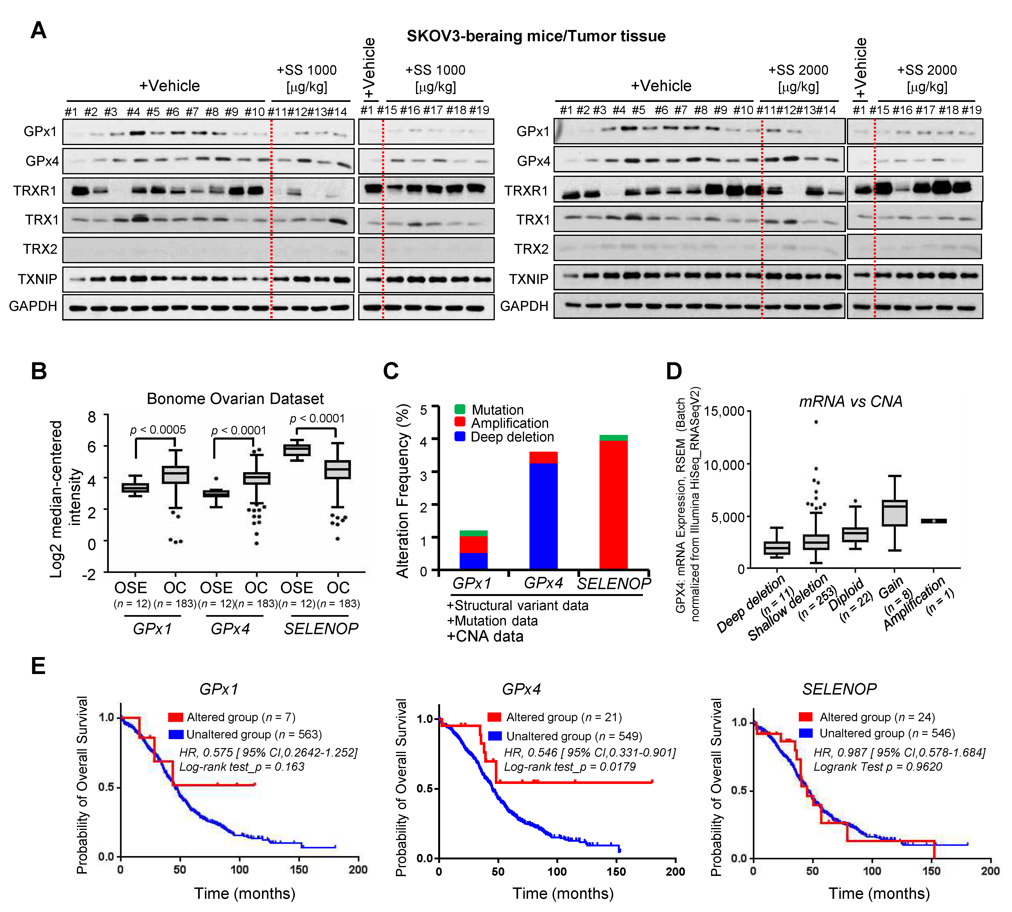 Ijms 24 01918 g006 Ijms 24 01918 g006