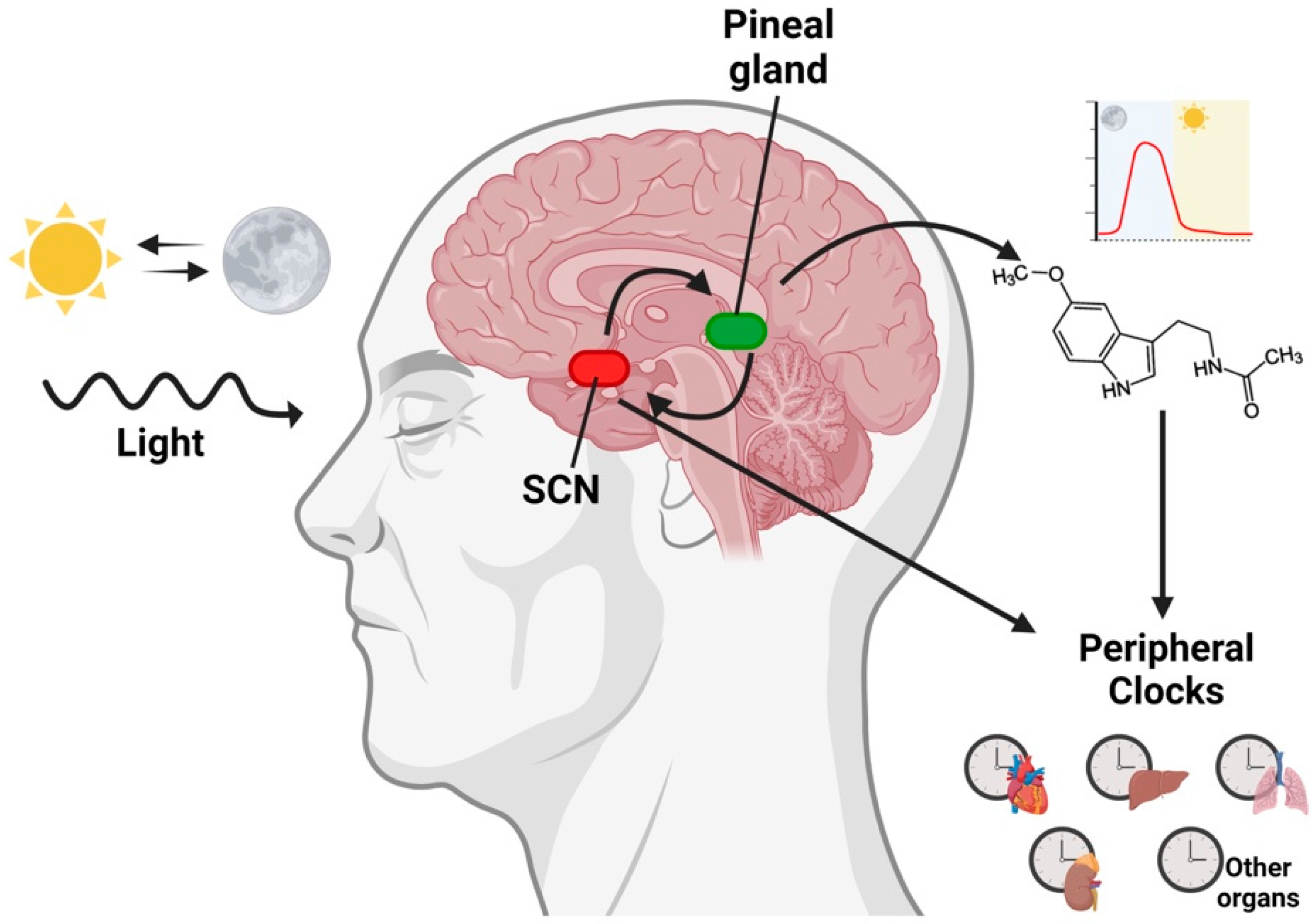 Ijms 24 01919 g002 Ijms 24 01919 g002