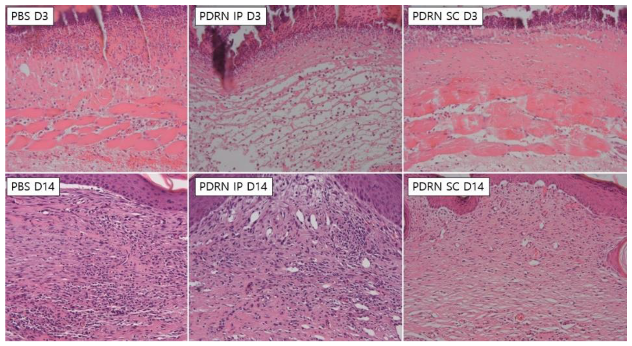 Ijms 24 01932 g003 Ijms 24 01932 g003