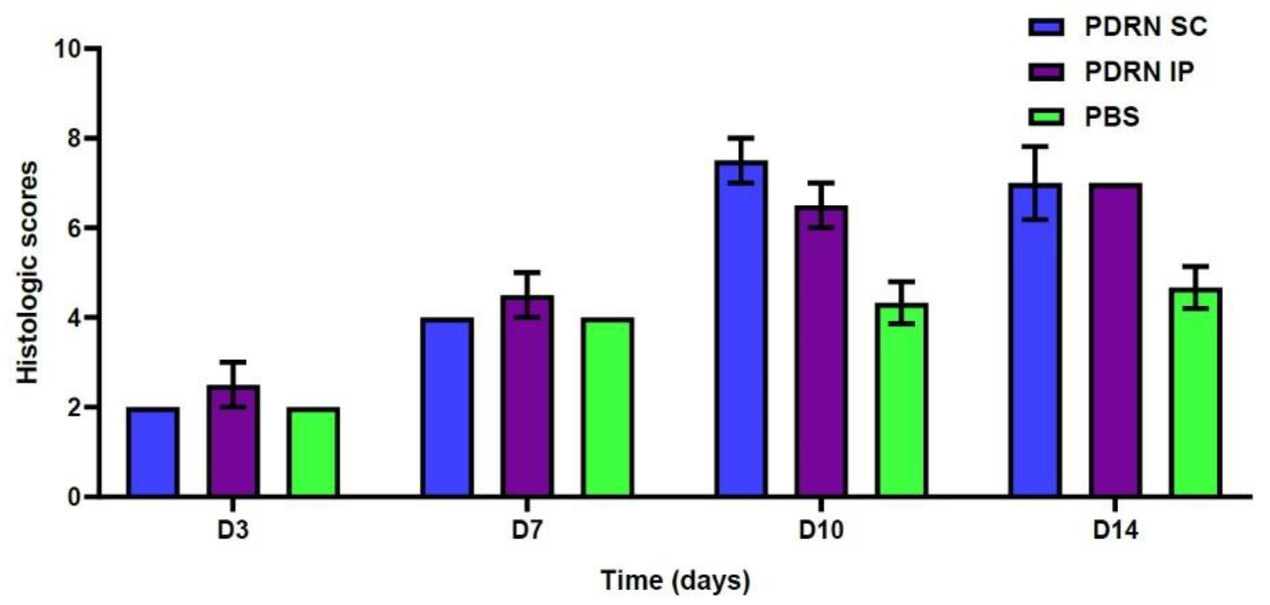 Ijms 24 01932 g004 Ijms 24 01932 g004