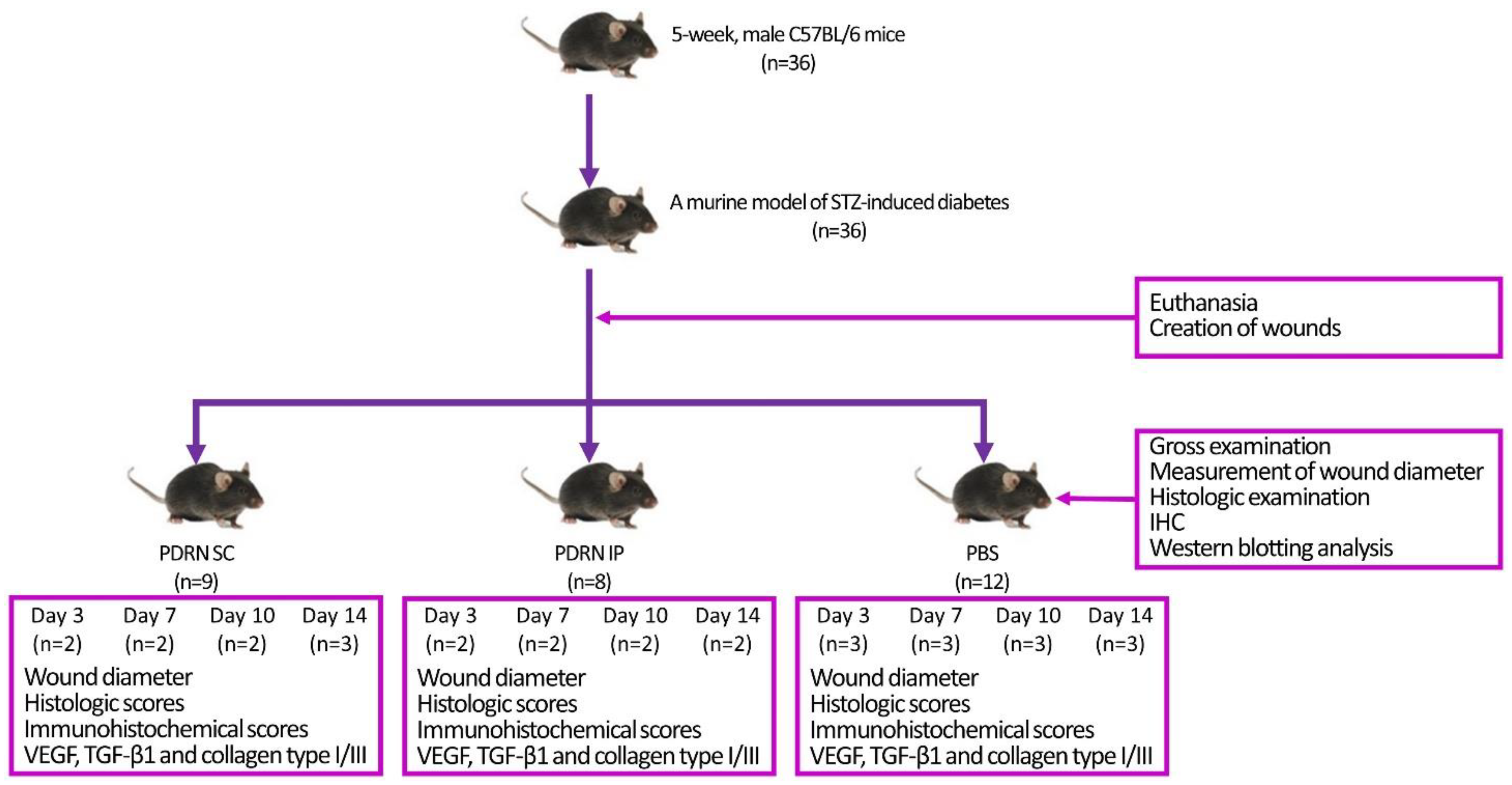 Ijms 24 01932 g007 Ijms 24 01932 g007