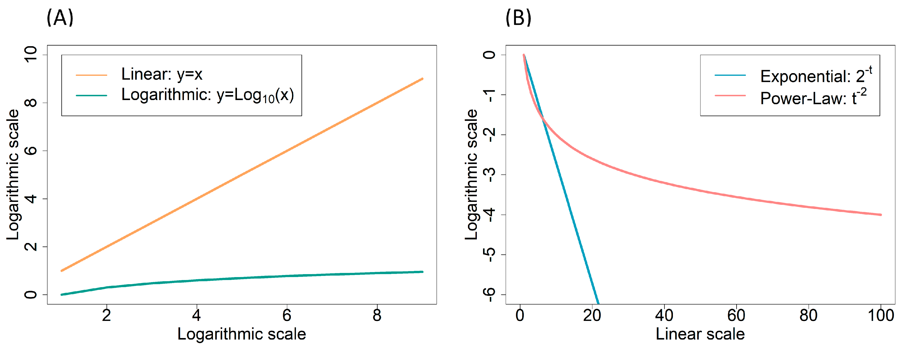 Ijms 24 01967 g002 Ijms 24 01967 g002