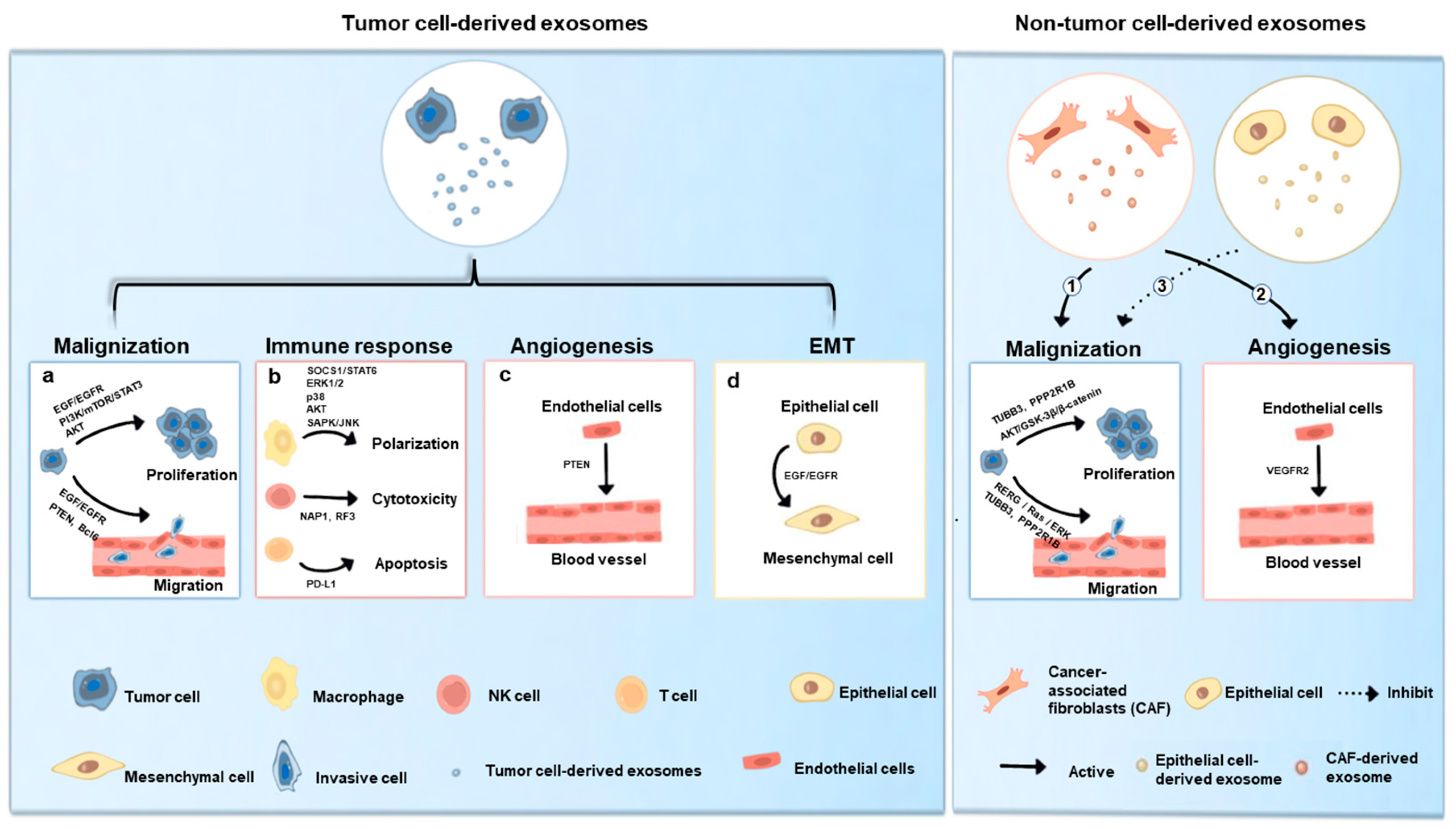 Ijms 24 01968 g002 Ijms 24 01968 g002
