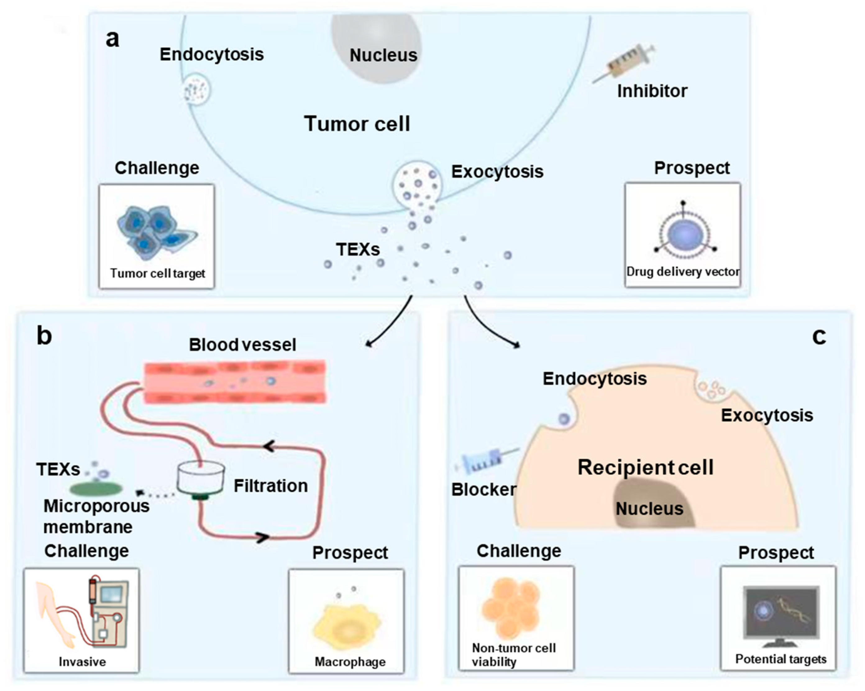 Ijms 24 01968 g004 Ijms 24 01968 g004