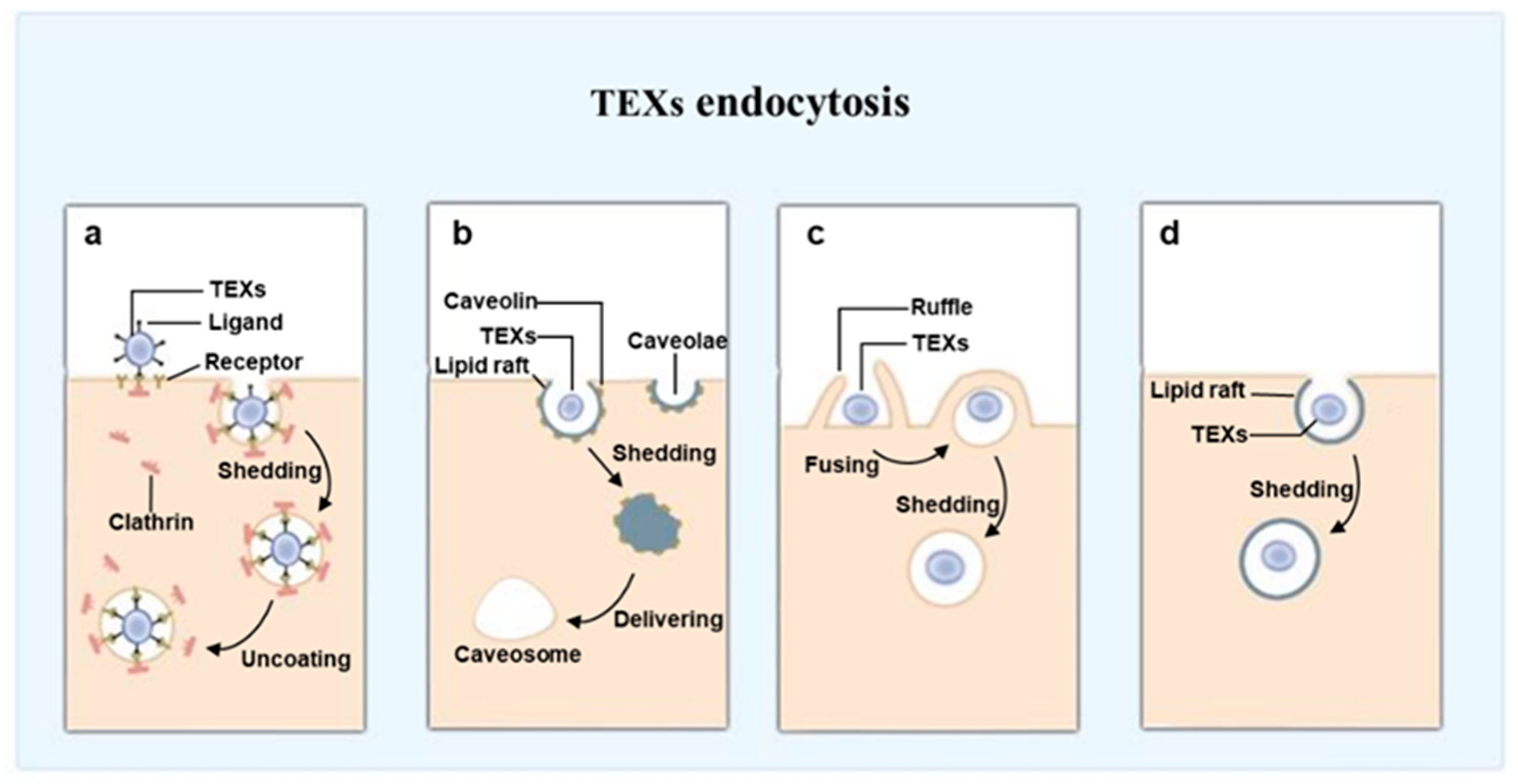 Ijms 24 01968 g005 Ijms 24 01968 g005