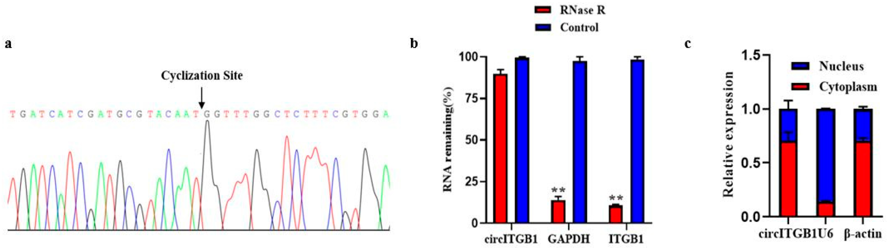 Ijms 24 01976 g001 Ijms 24 01976 g001