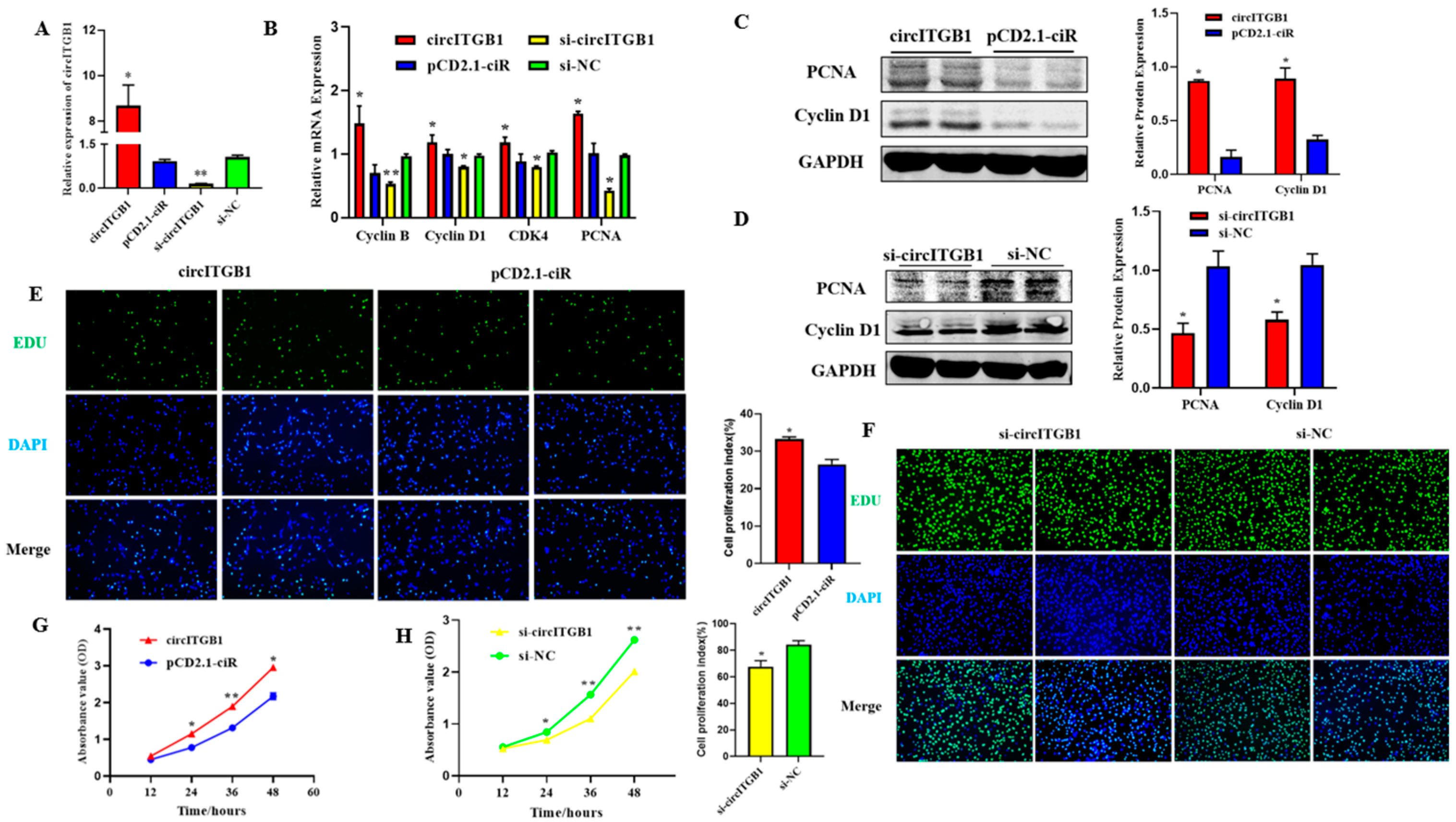 Ijms 24 01976 g002 Ijms 24 01976 g002