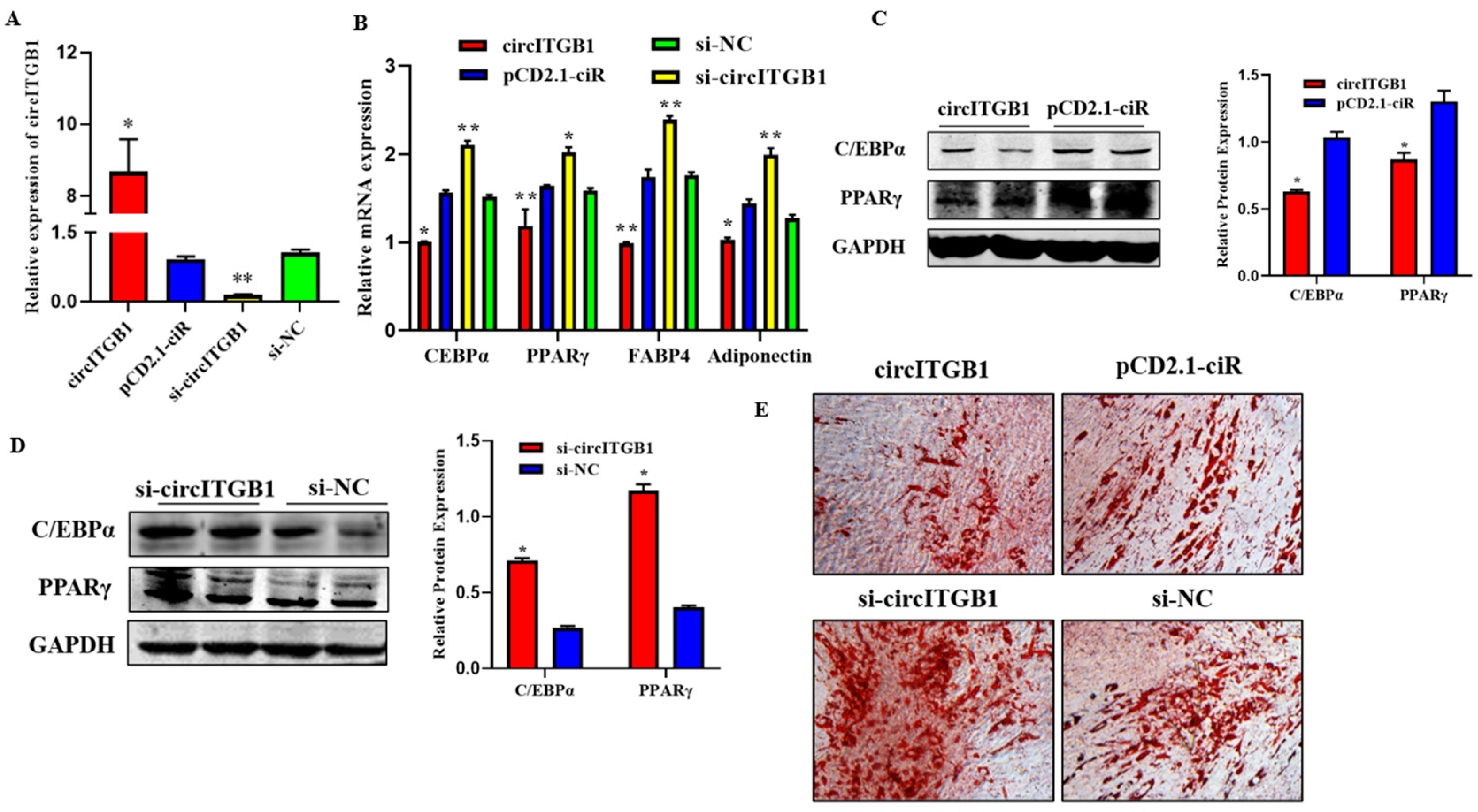 Ijms 24 01976 g003 Ijms 24 01976 g003