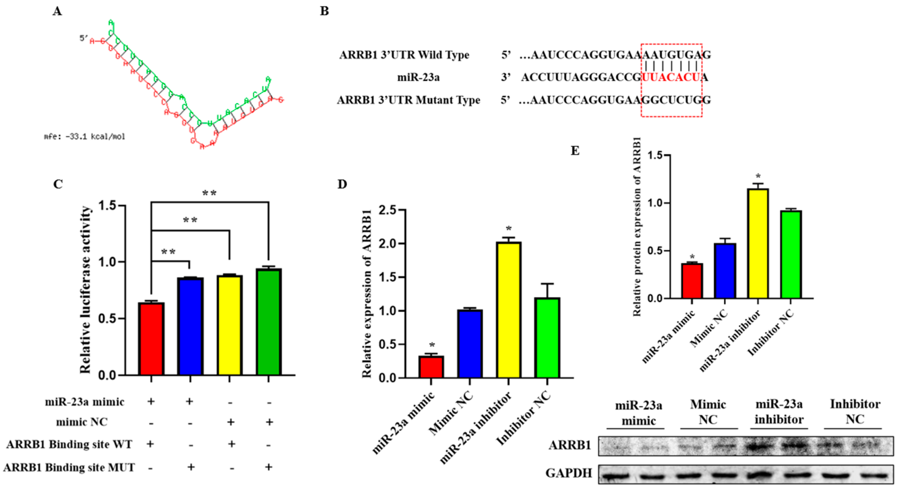 Ijms 24 01976 g006 Ijms 24 01976 g006