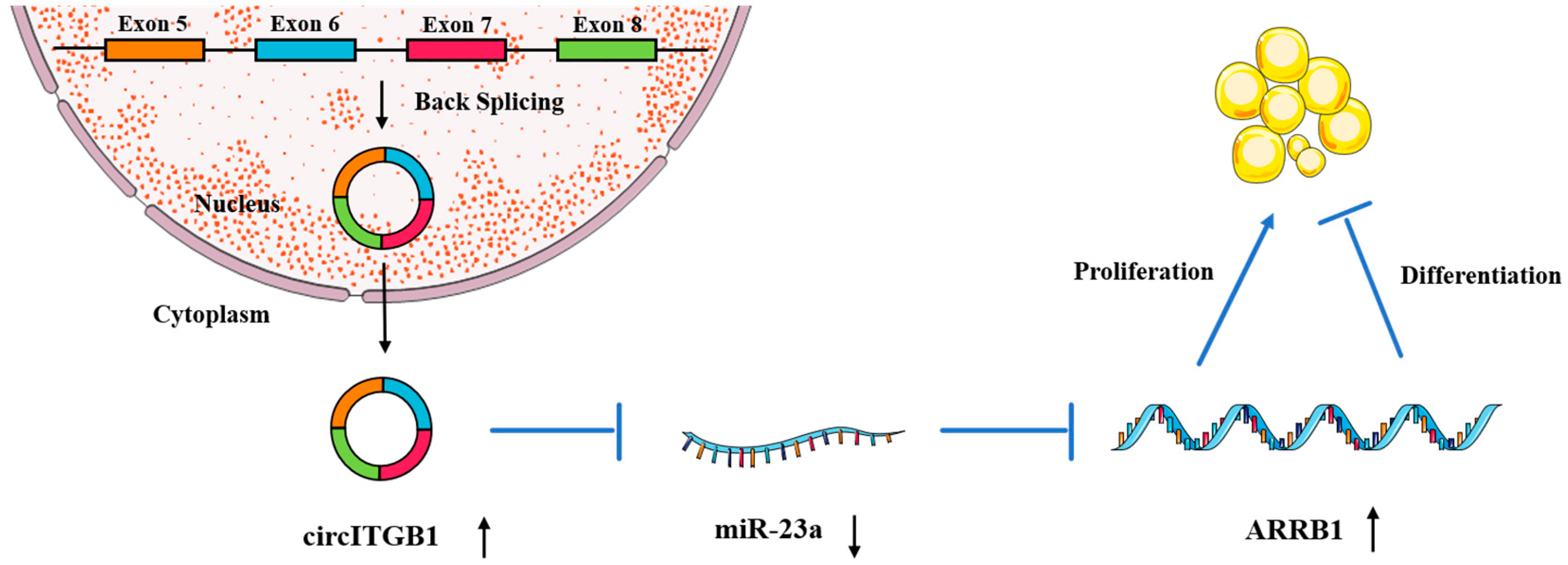 Ijms 24 01976 g008 Ijms 24 01976 g008