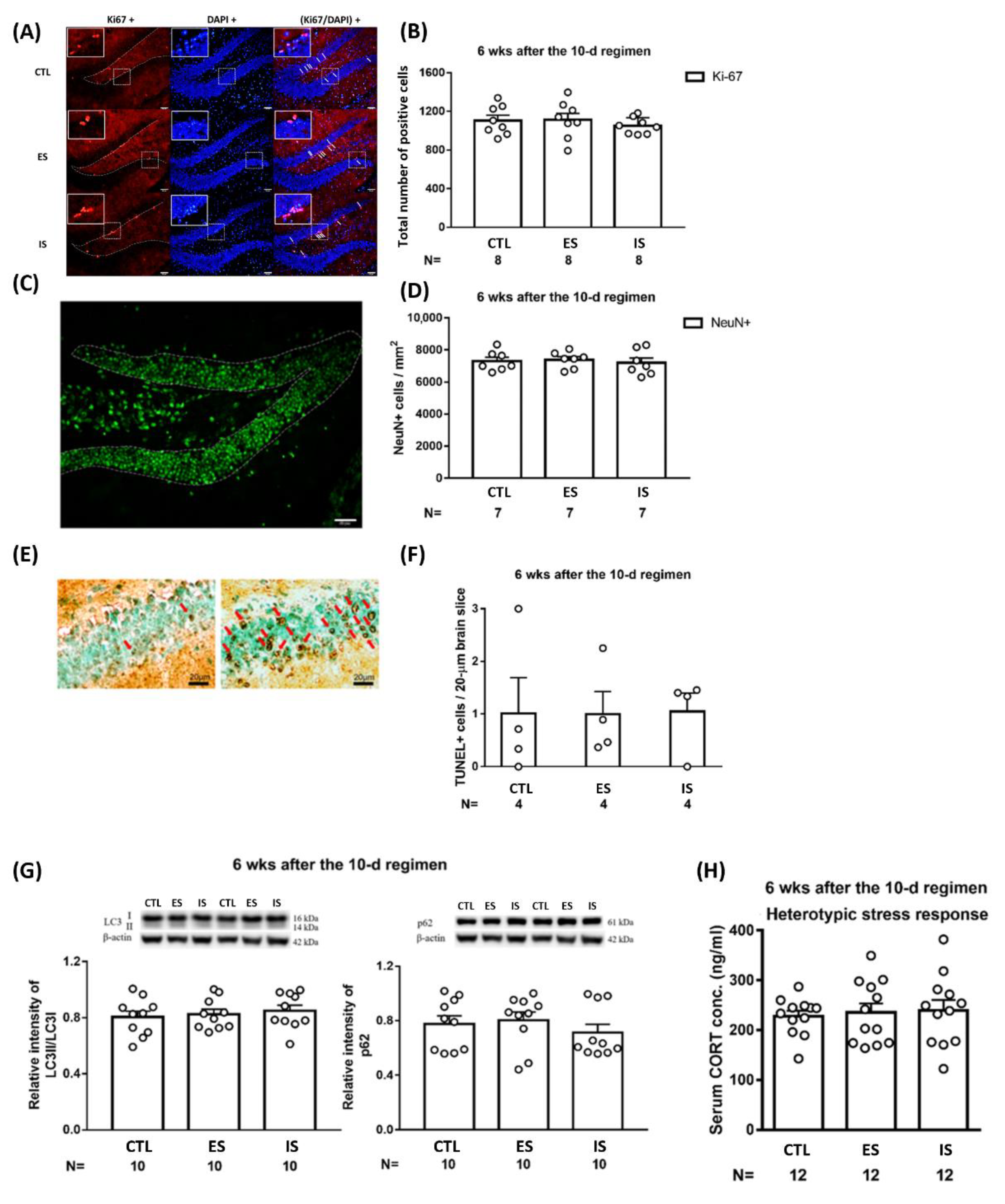 Ijms 24 01983 g004 Ijms 24 01983 g004
