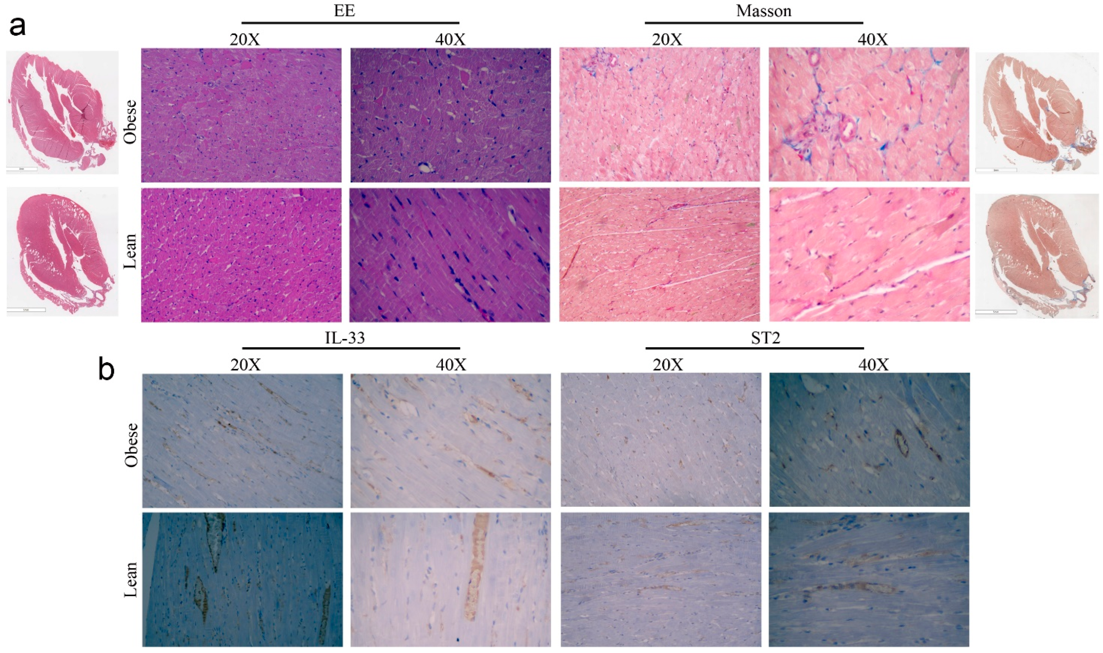 Ijms 24 01991 g004 Ijms 24 01991 g004