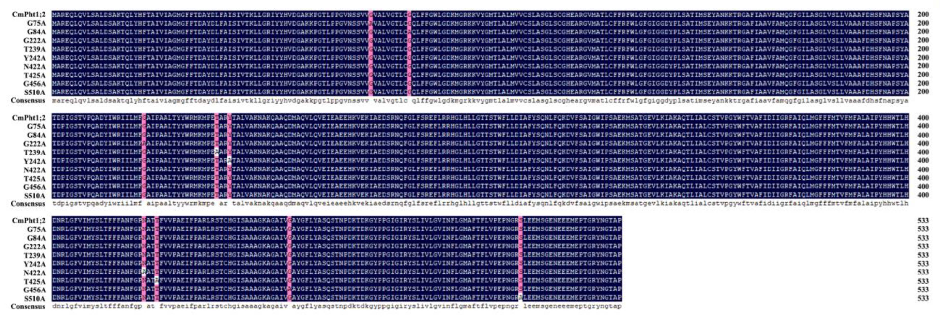 Ijms 24 02025 g001 Ijms 24 02025 g001