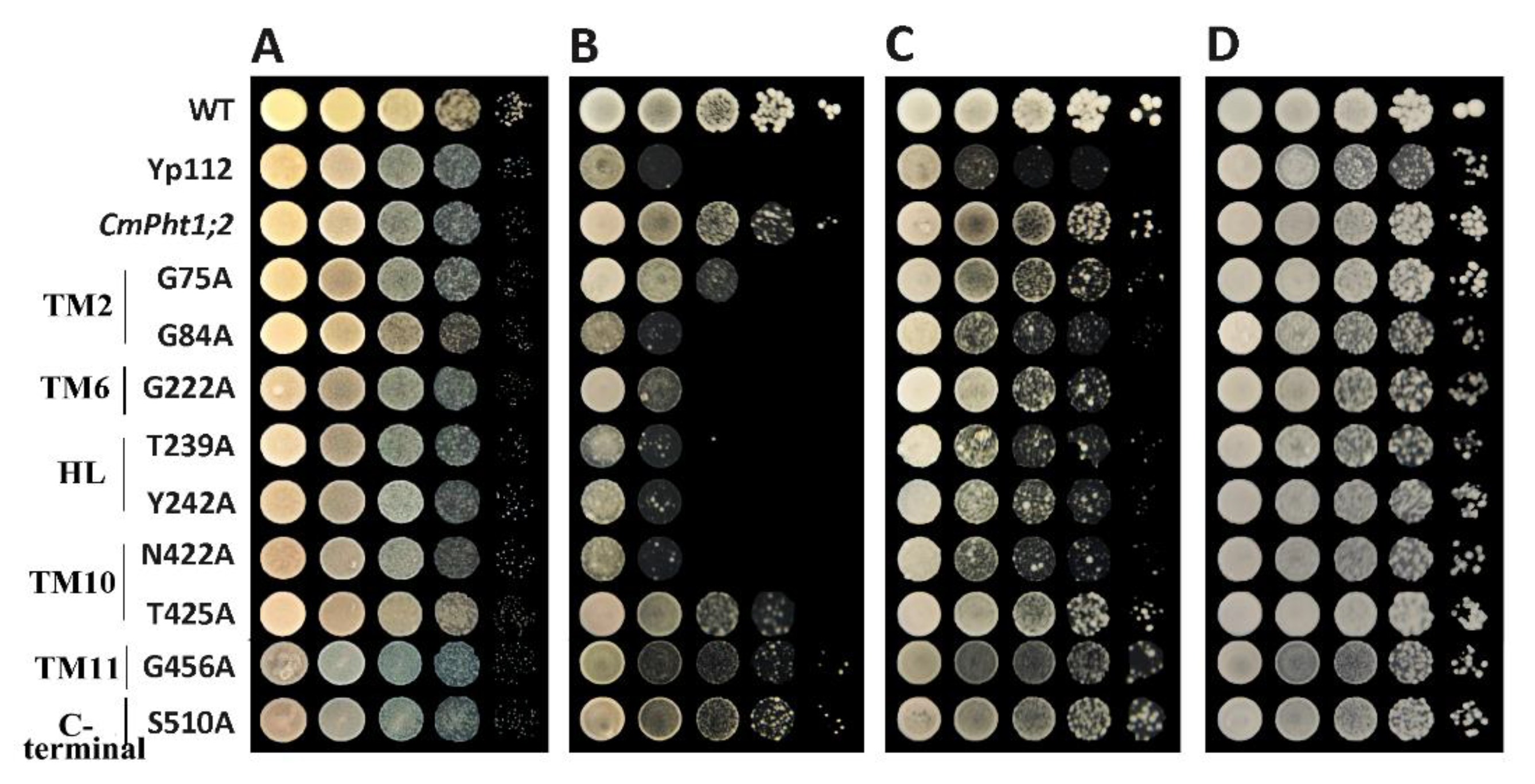 Ijms 24 02025 g002 Ijms 24 02025 g002