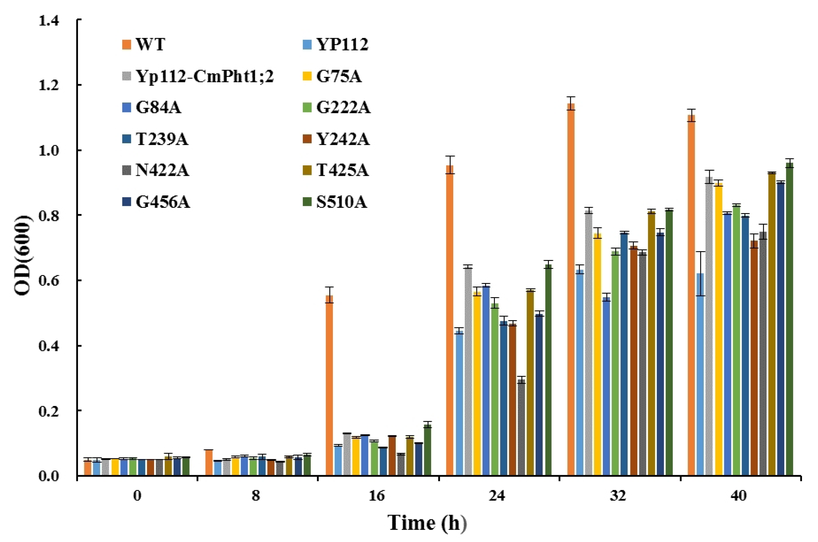 Ijms 24 02025 g003 Ijms 24 02025 g003