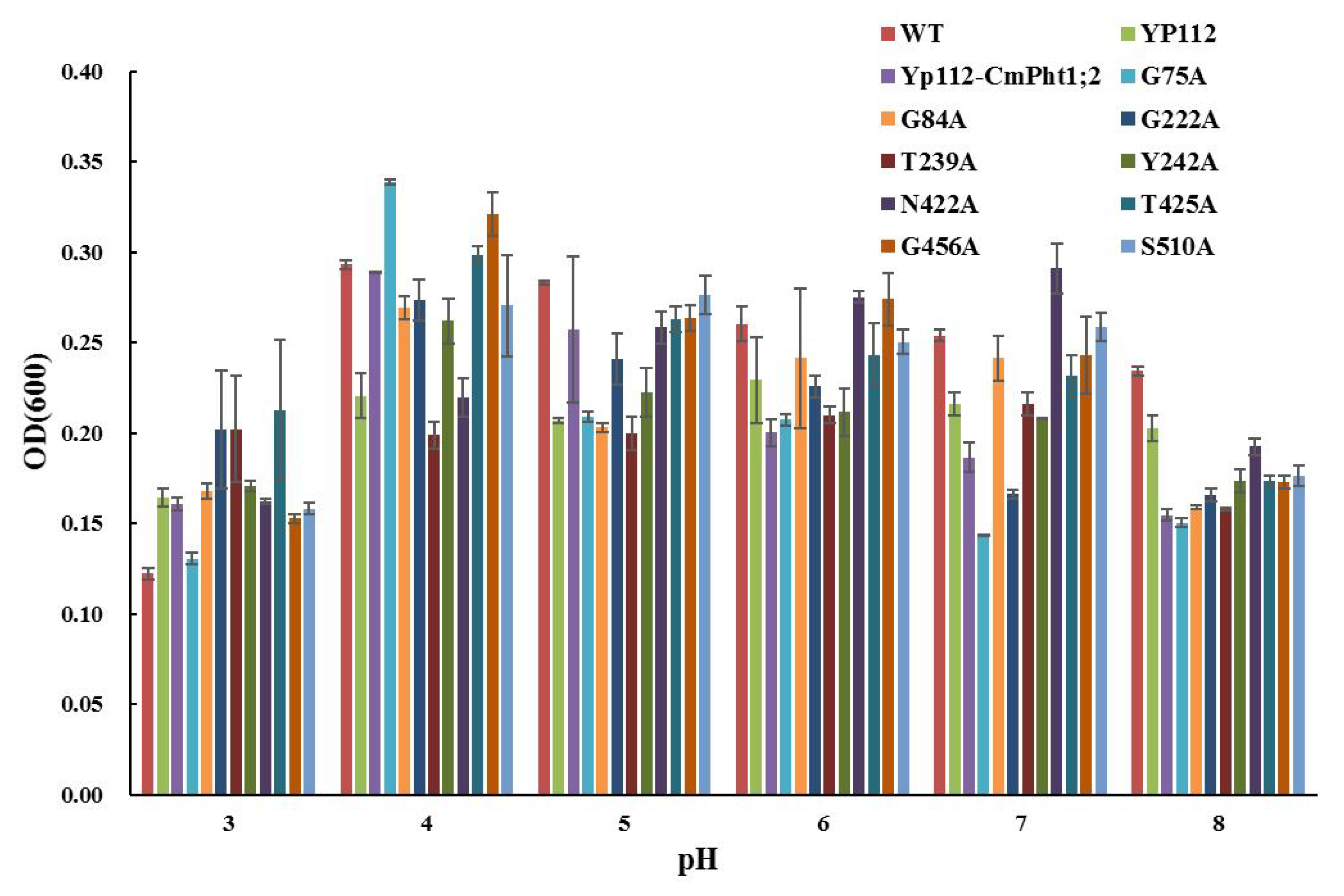 Ijms 24 02025 g004 Ijms 24 02025 g004