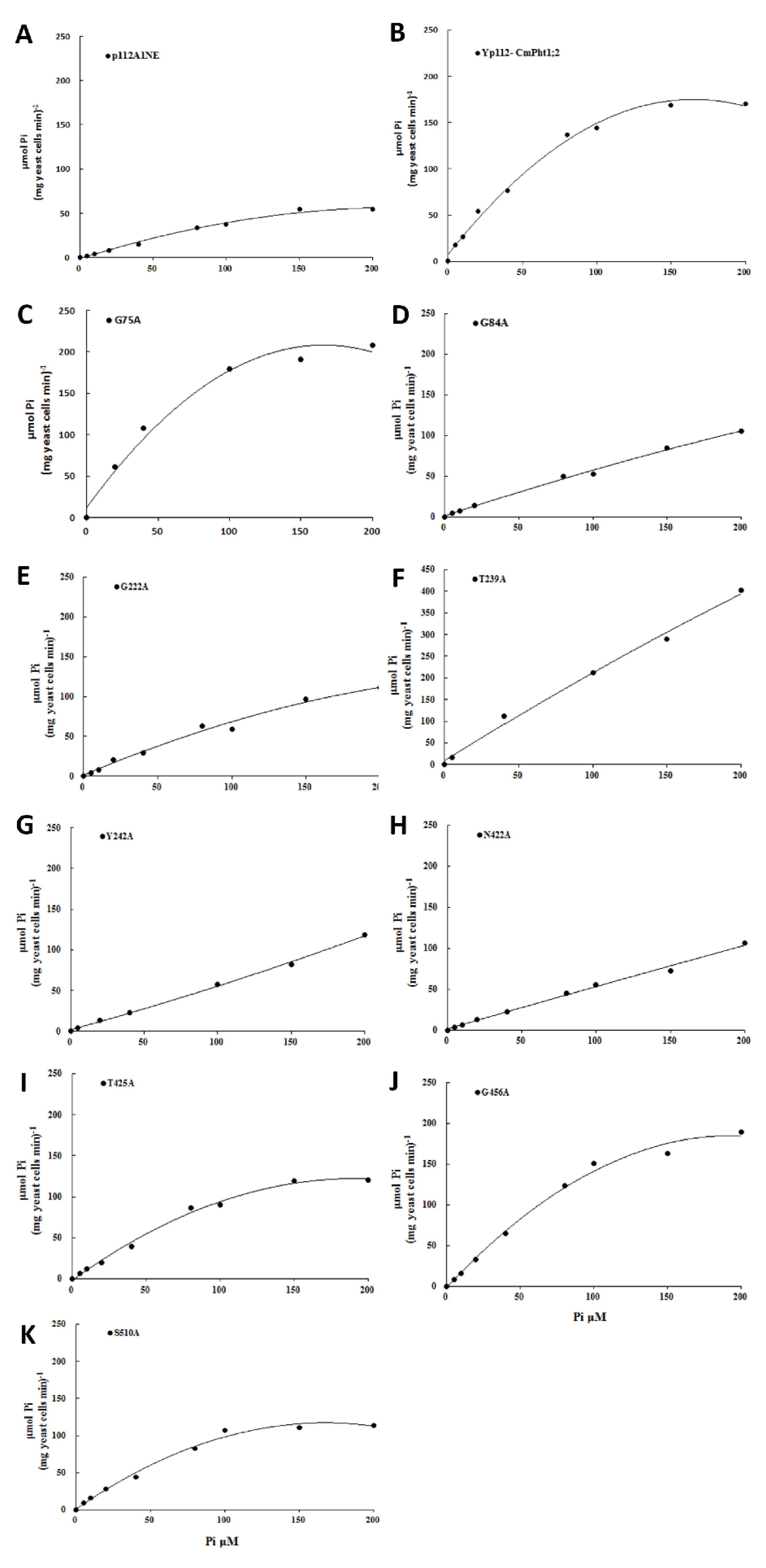 Ijms 24 02025 g005 Ijms 24 02025 g005