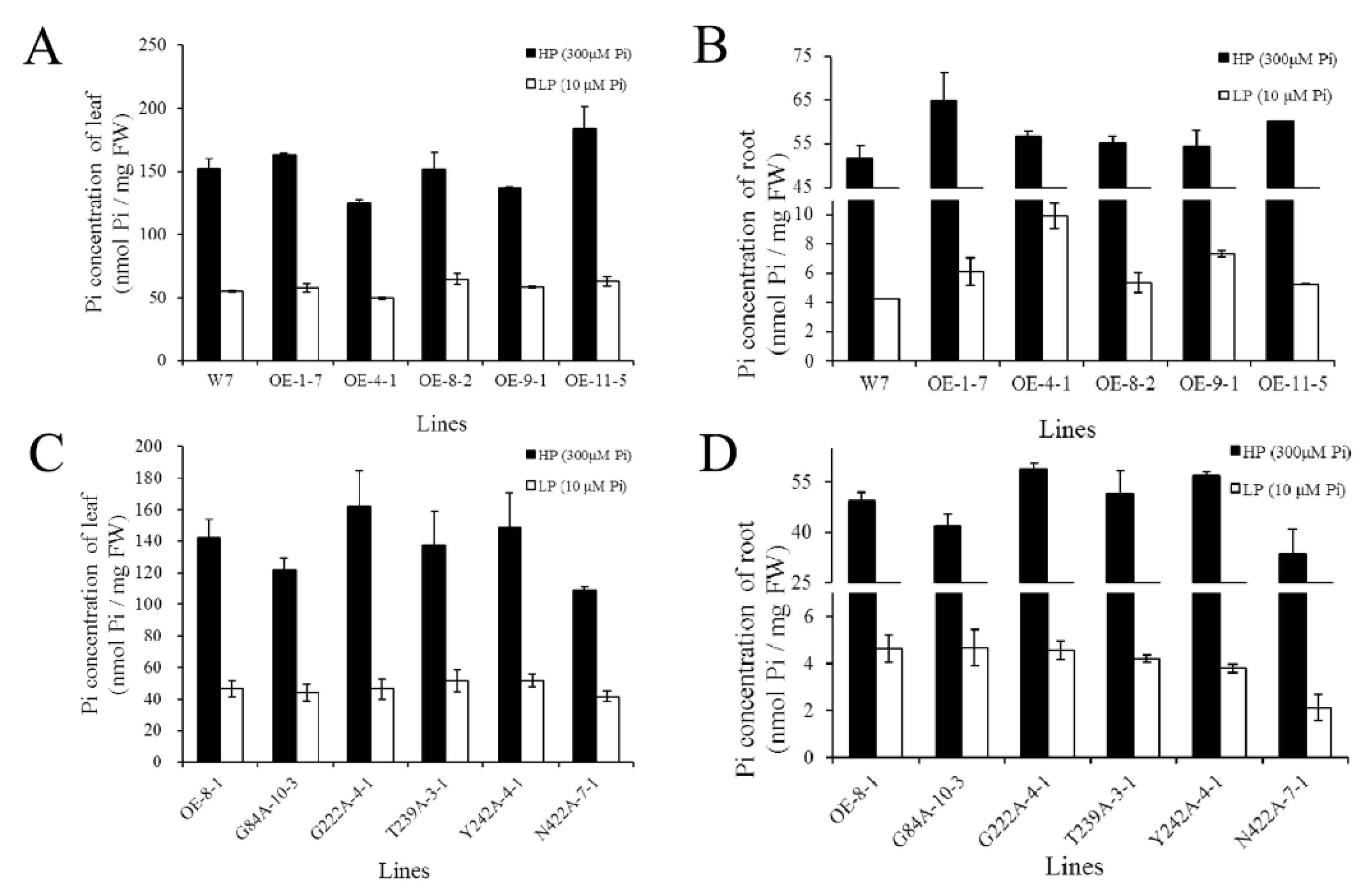Ijms 24 02025 g008 Ijms 24 02025 g008