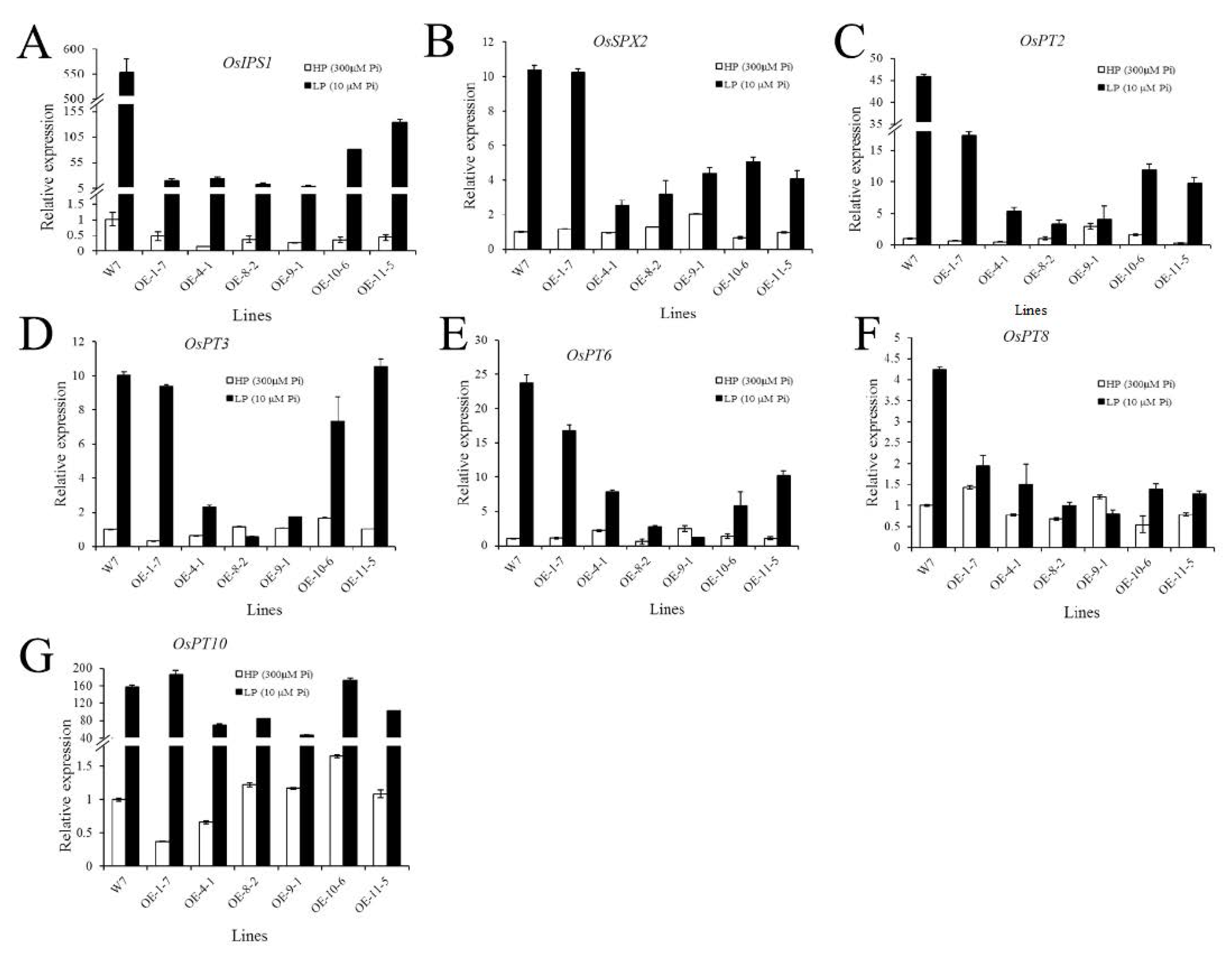 Ijms 24 02025 g009 Ijms 24 02025 g009