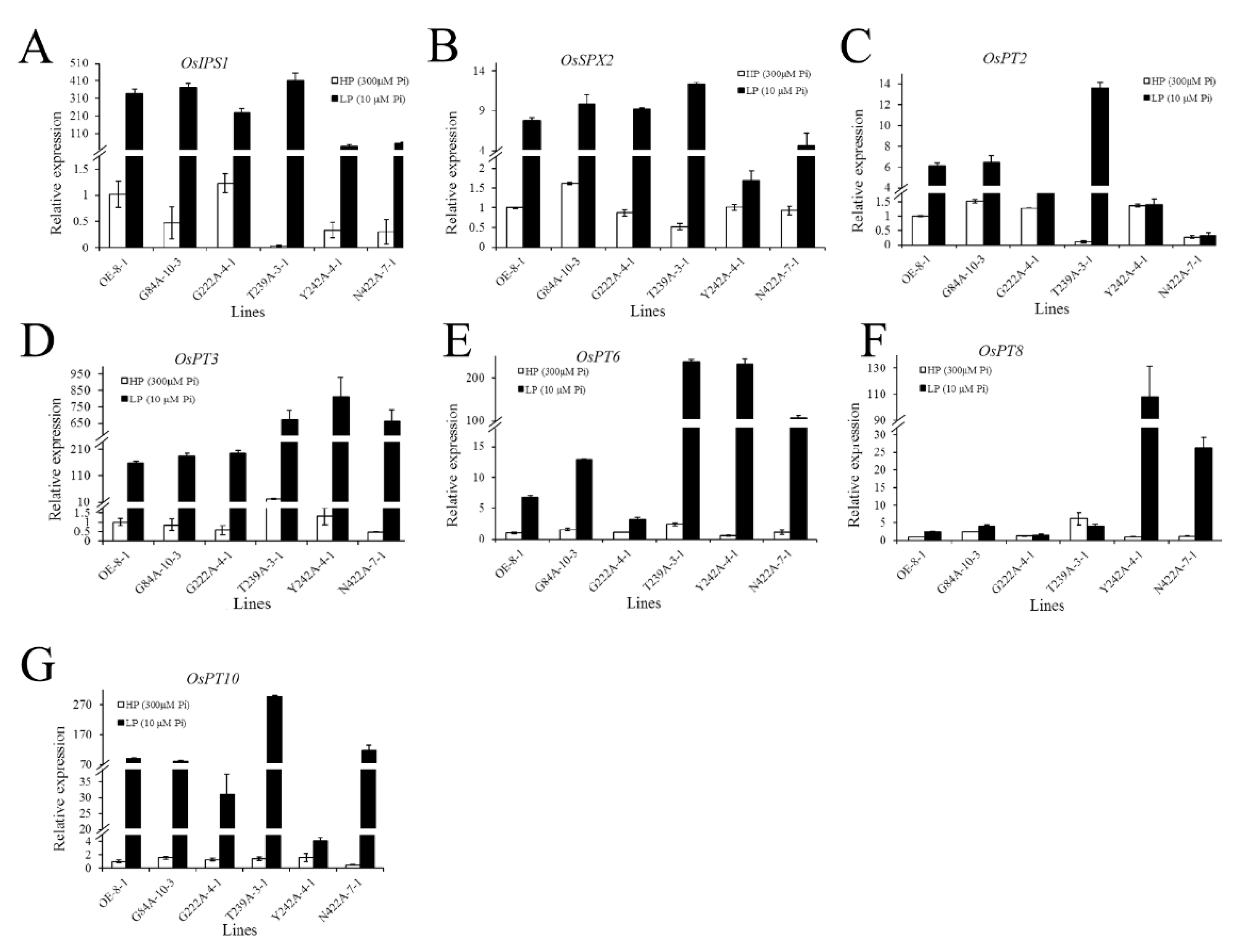 Ijms 24 02025 g010 Ijms 24 02025 g010