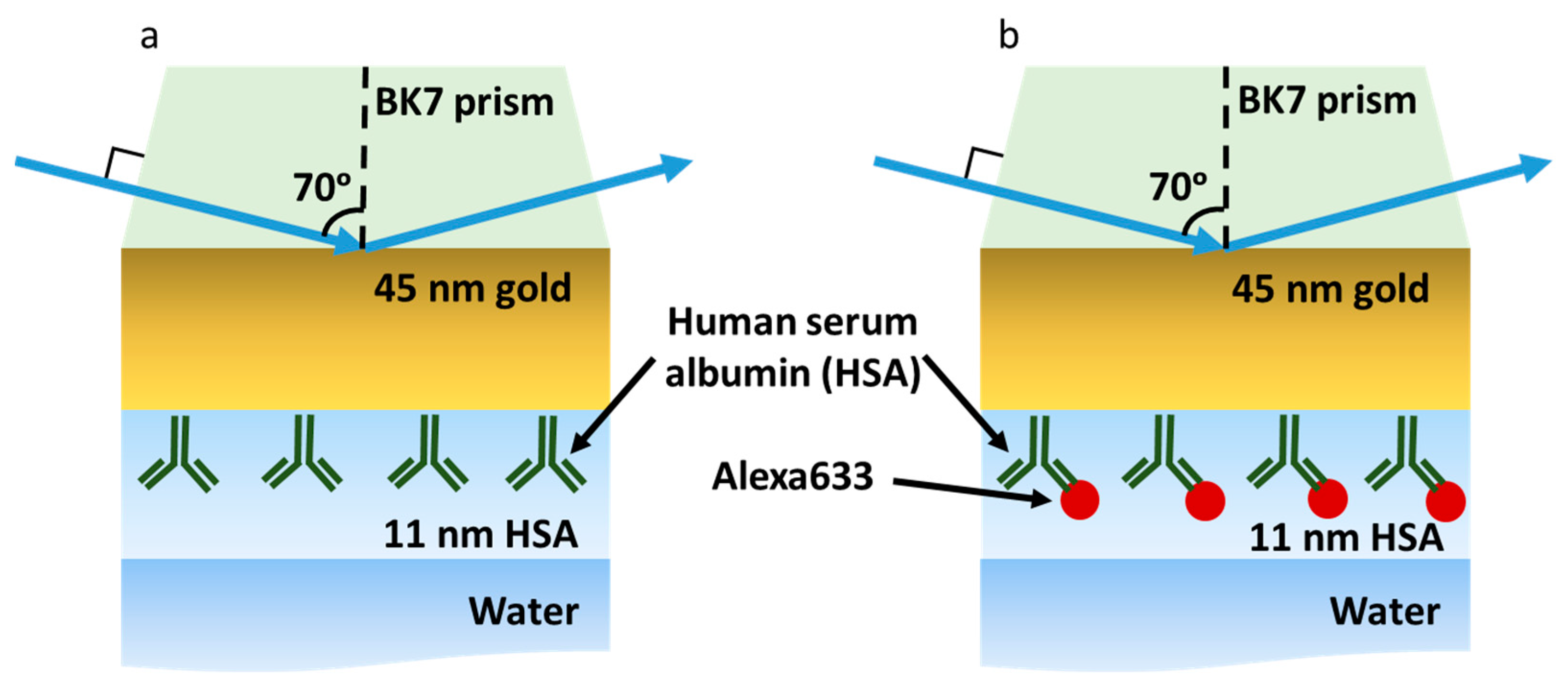 Ijms 24 02029 g001 Ijms 24 02029 g001