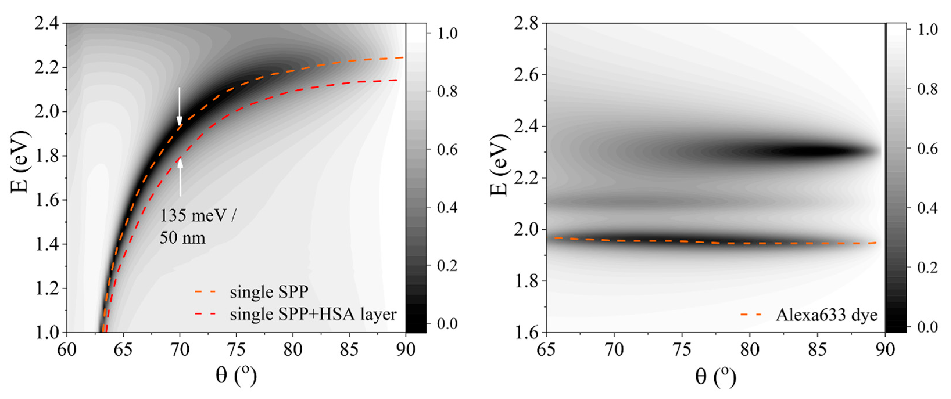 Ijms 24 02029 g002 Ijms 24 02029 g002