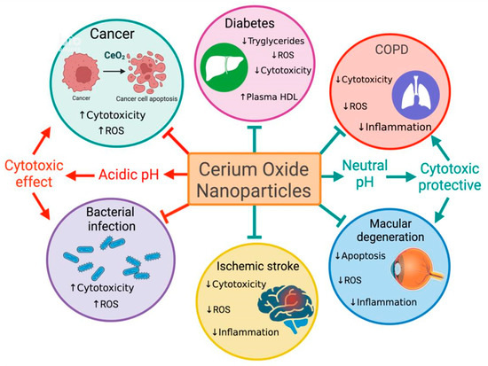 pH-Controlled Cerium Oxide Nanoparticle Inhibition of Both Gram