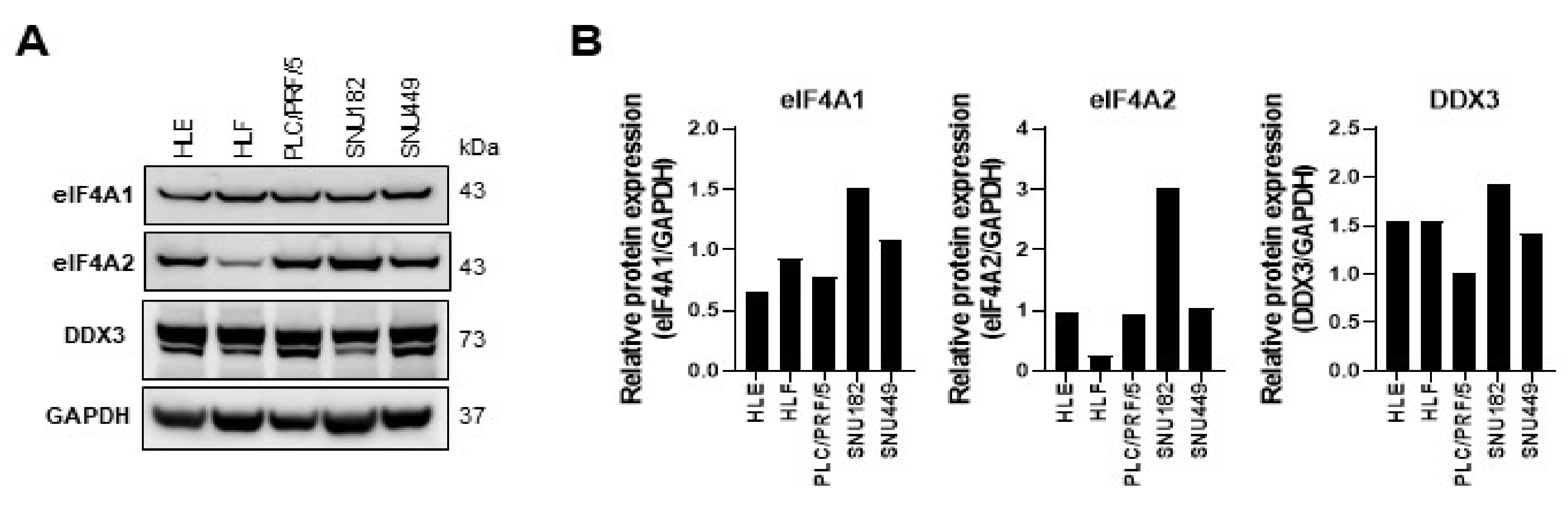 Ijms 24 02055 g005 Ijms 24 02055 g005