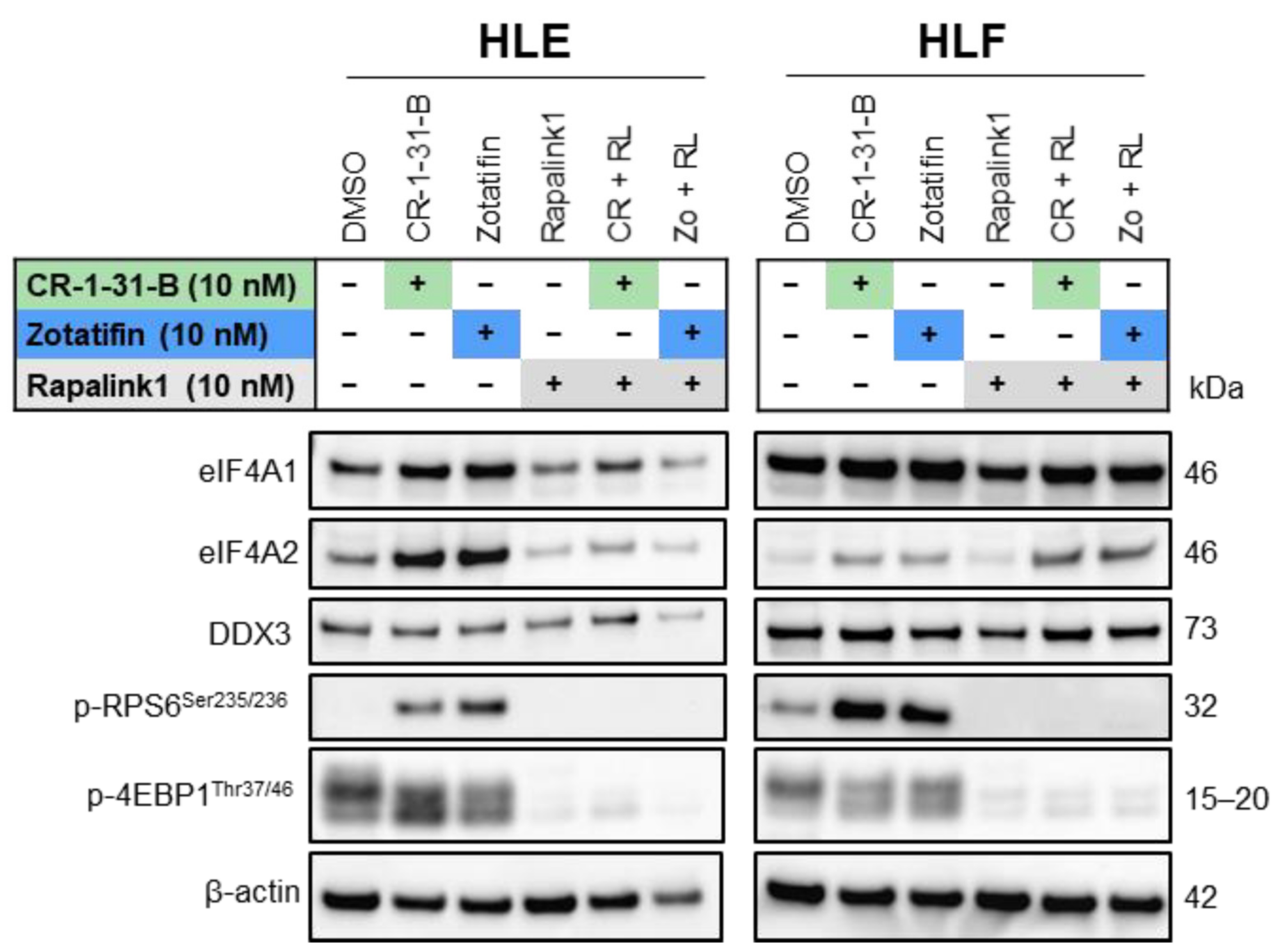 Ijms 24 02055 g012 Ijms 24 02055 g012