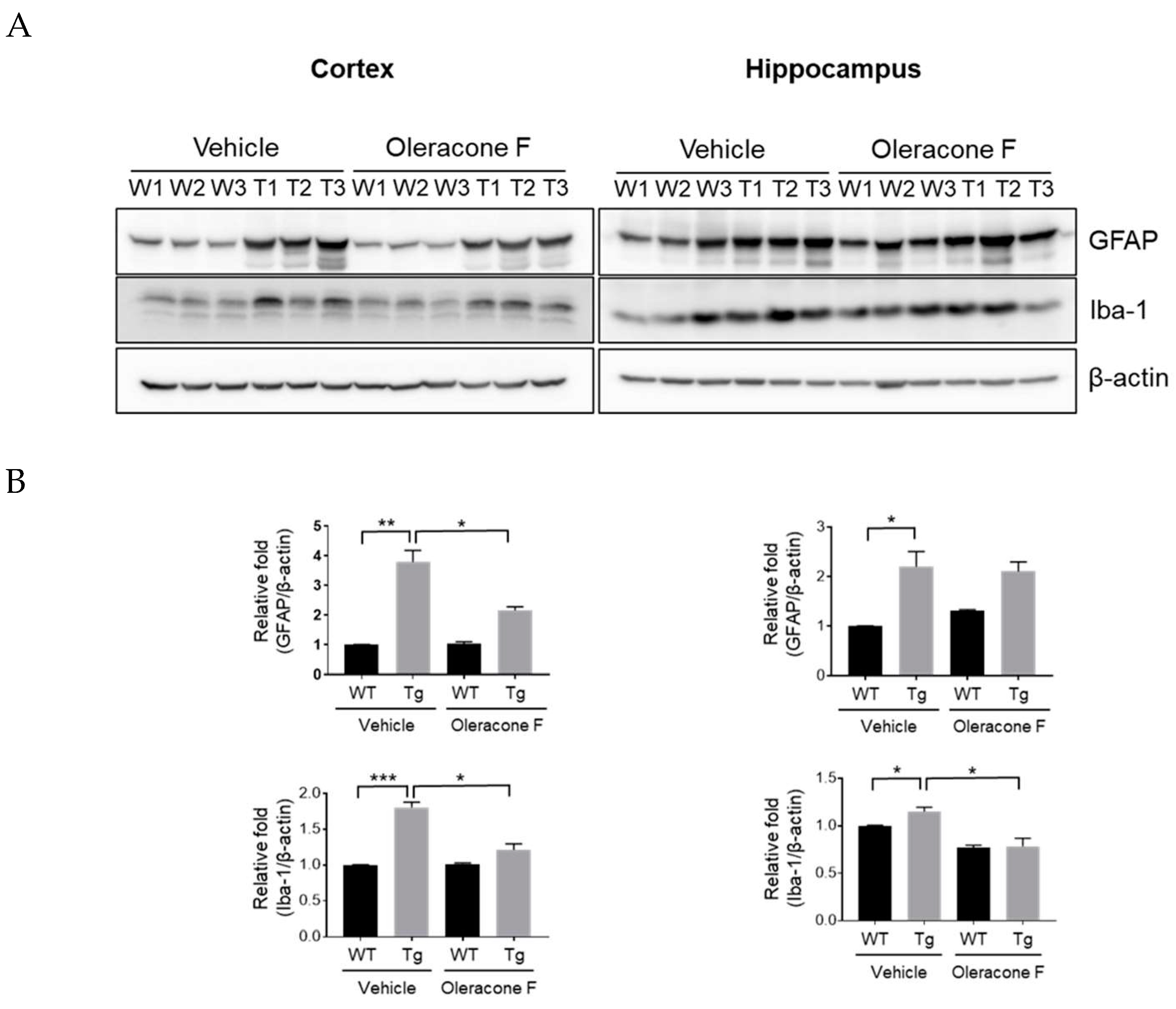 Ijms 24 02056 g006 Ijms 24 02056 g006